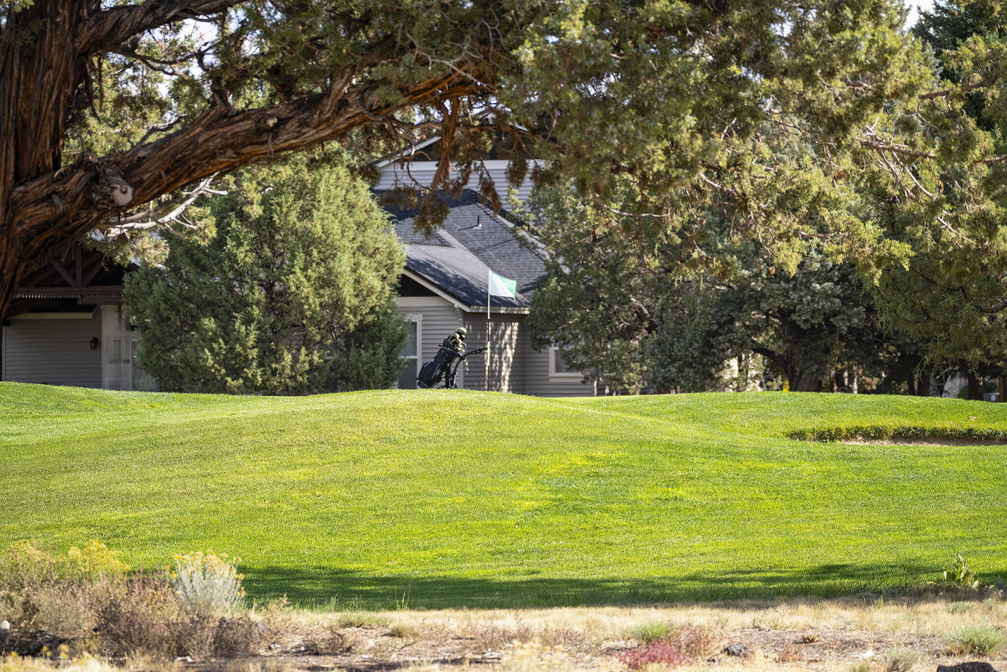 Ridge At Eagle Crest - Residential