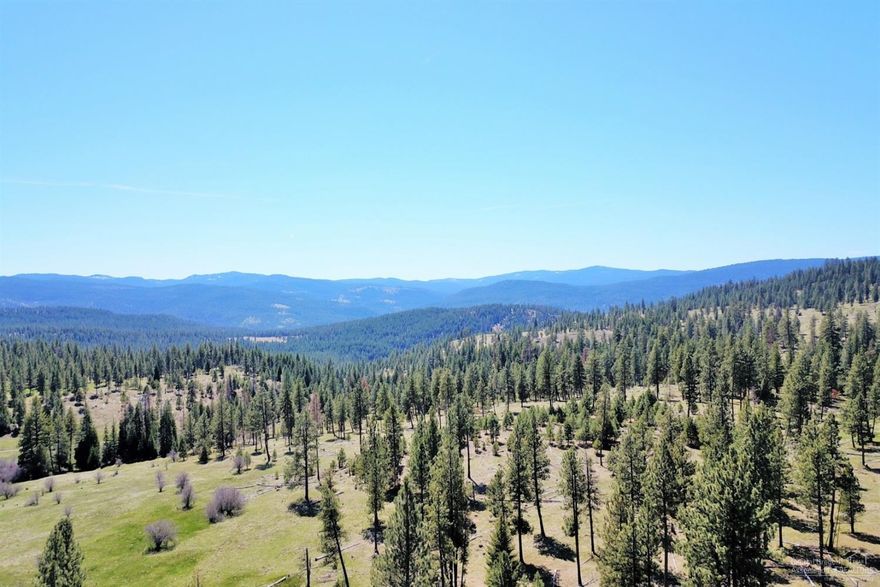 Peace and quiet. Nothing's more relaxing than the sound of a creek gurgling over rocks and a breeze in the tops of nearby pine trees. Enjoy all this while watching the sun set from your own private getaway. Nestled on Elk Creek and only three miles from the middle fork of the John Day River, this property is an affordable dream come true. Almost completely surrounded by USNF, this 160 acres qualifies for LOP tags in the Desolation hunt unit. Topping the dream off are 39+ acres of irrigation with 1899 priority.