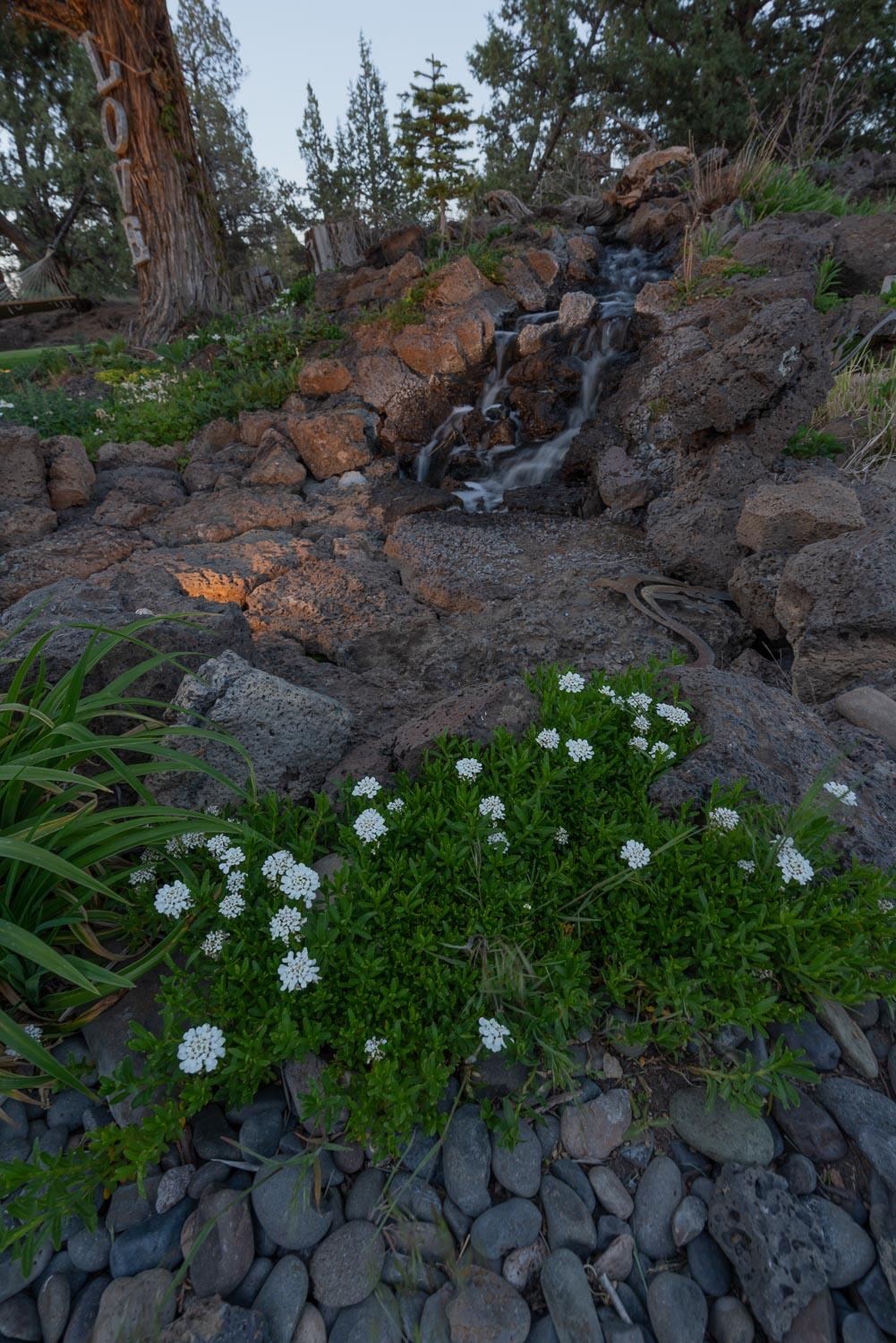 Tetherow Crossing - Residential