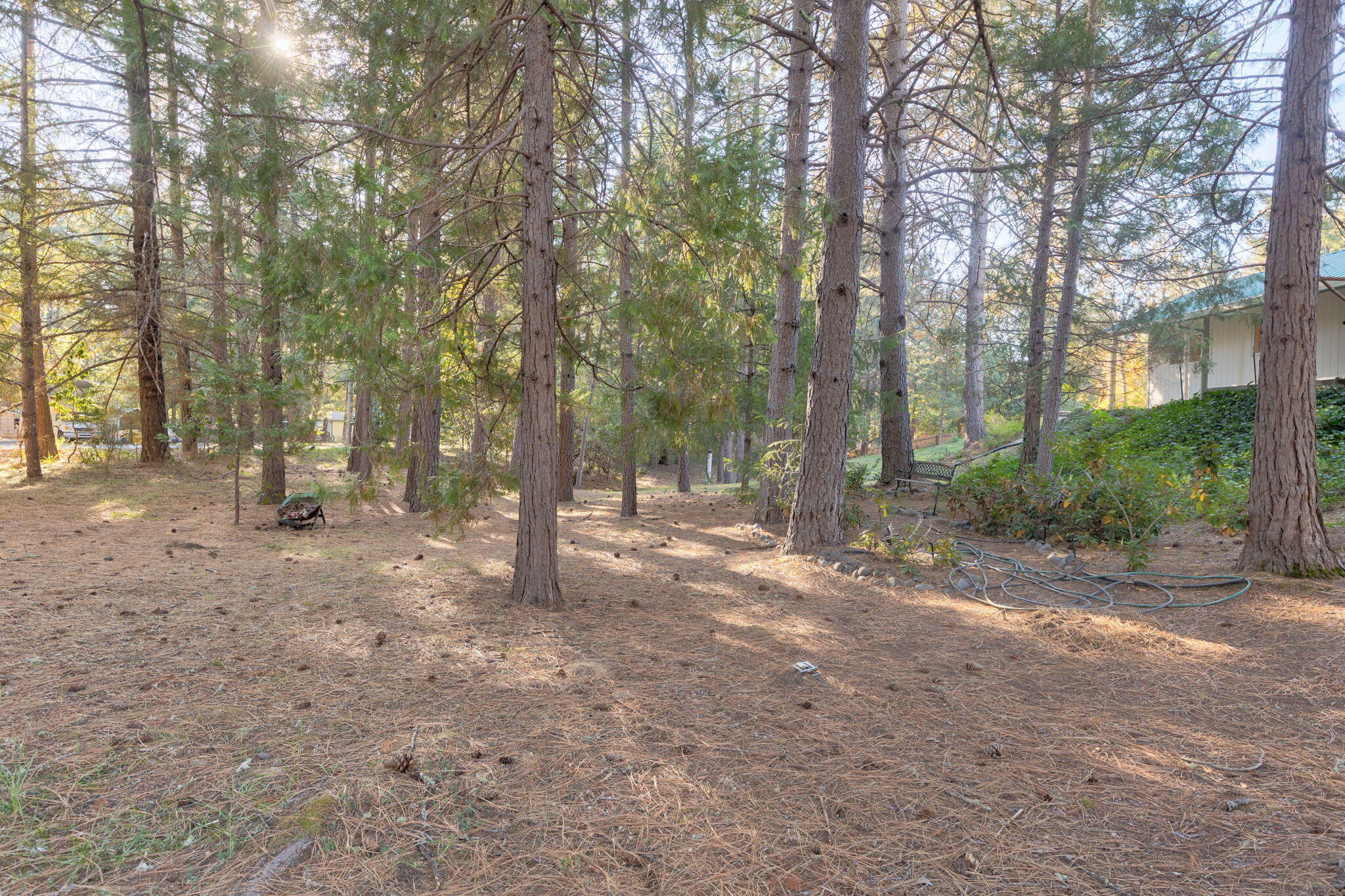 Lamplight Village - Residential