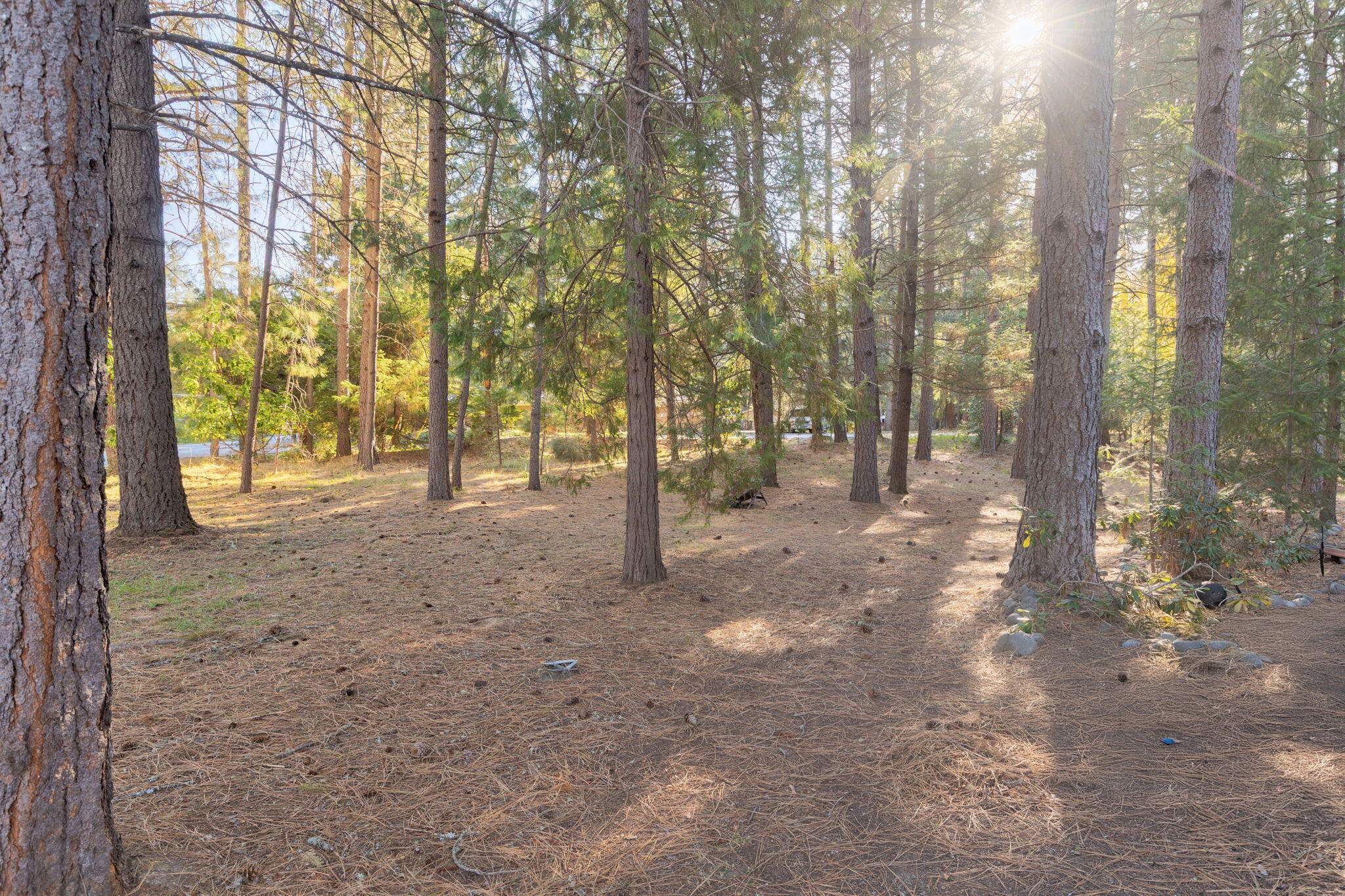 Lamplight Village - Residential