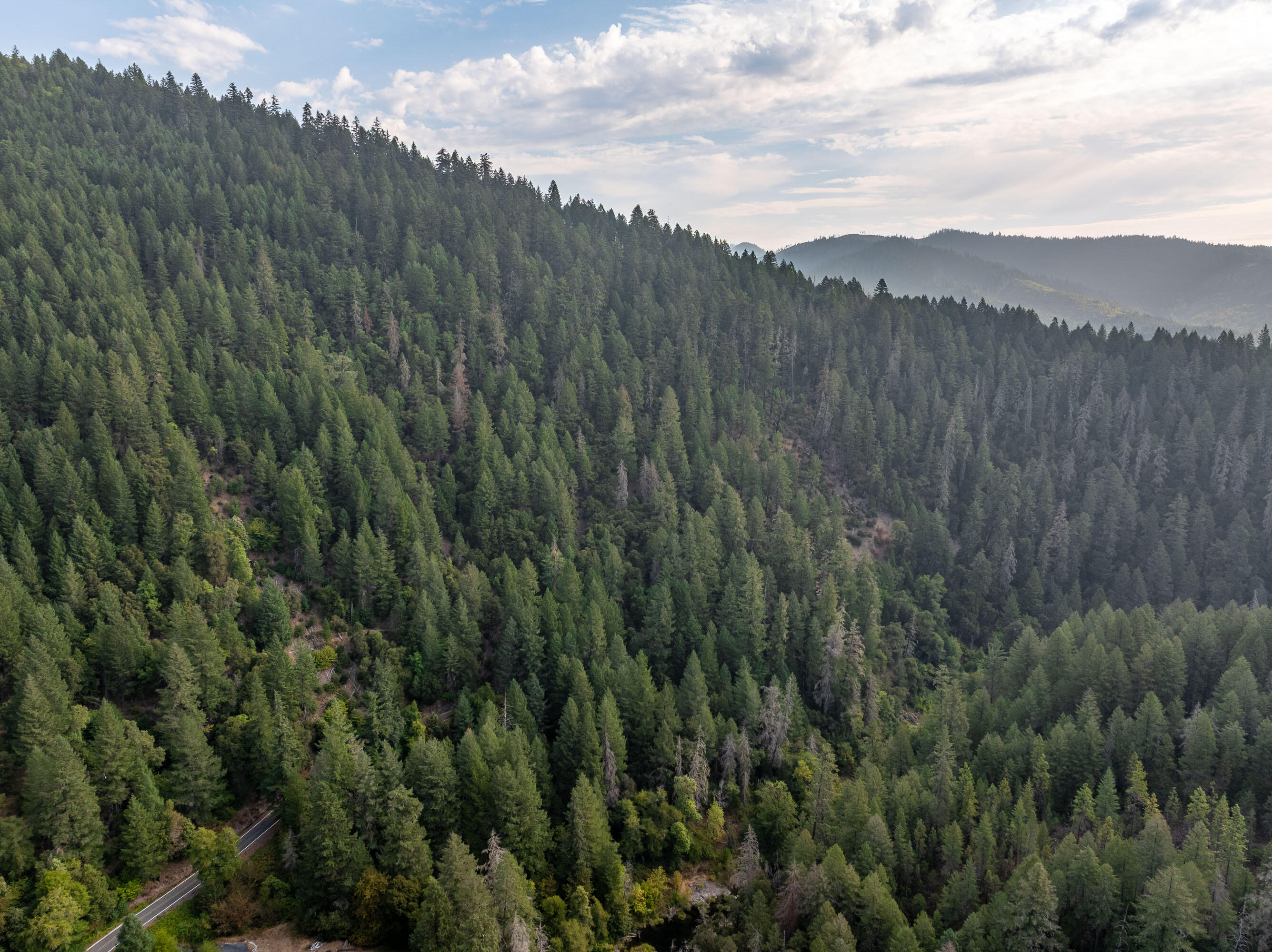 N/A - Commercial Sale