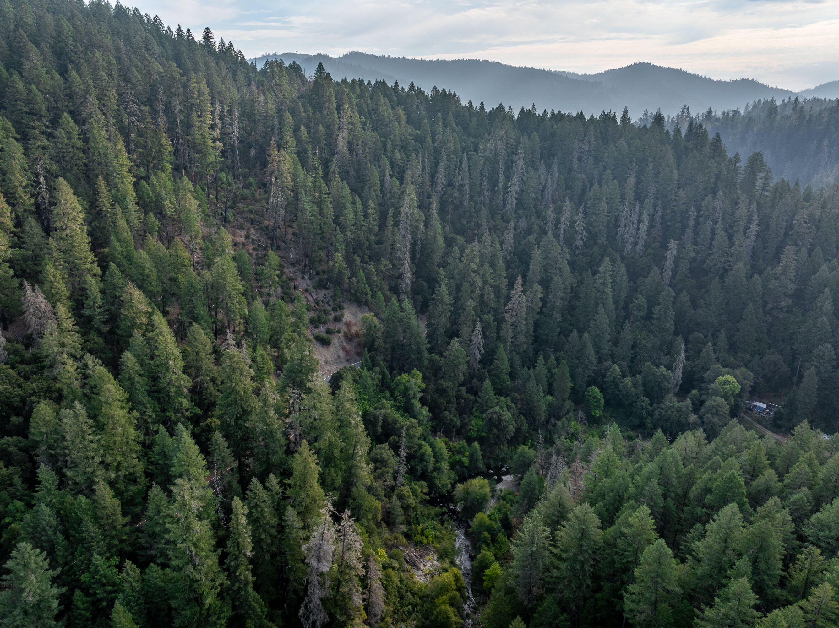 N/A - Commercial Sale