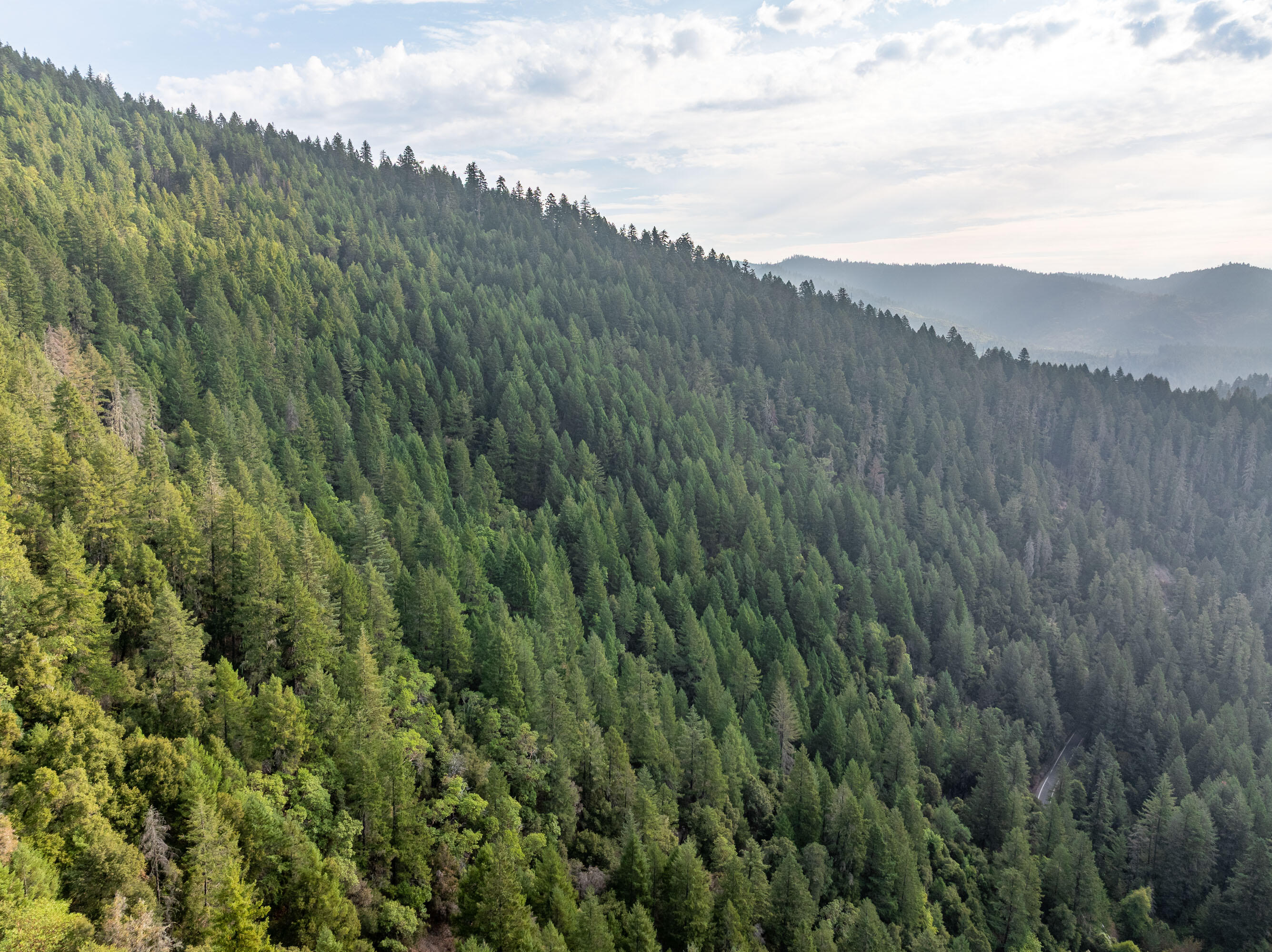 N/A - Commercial Sale