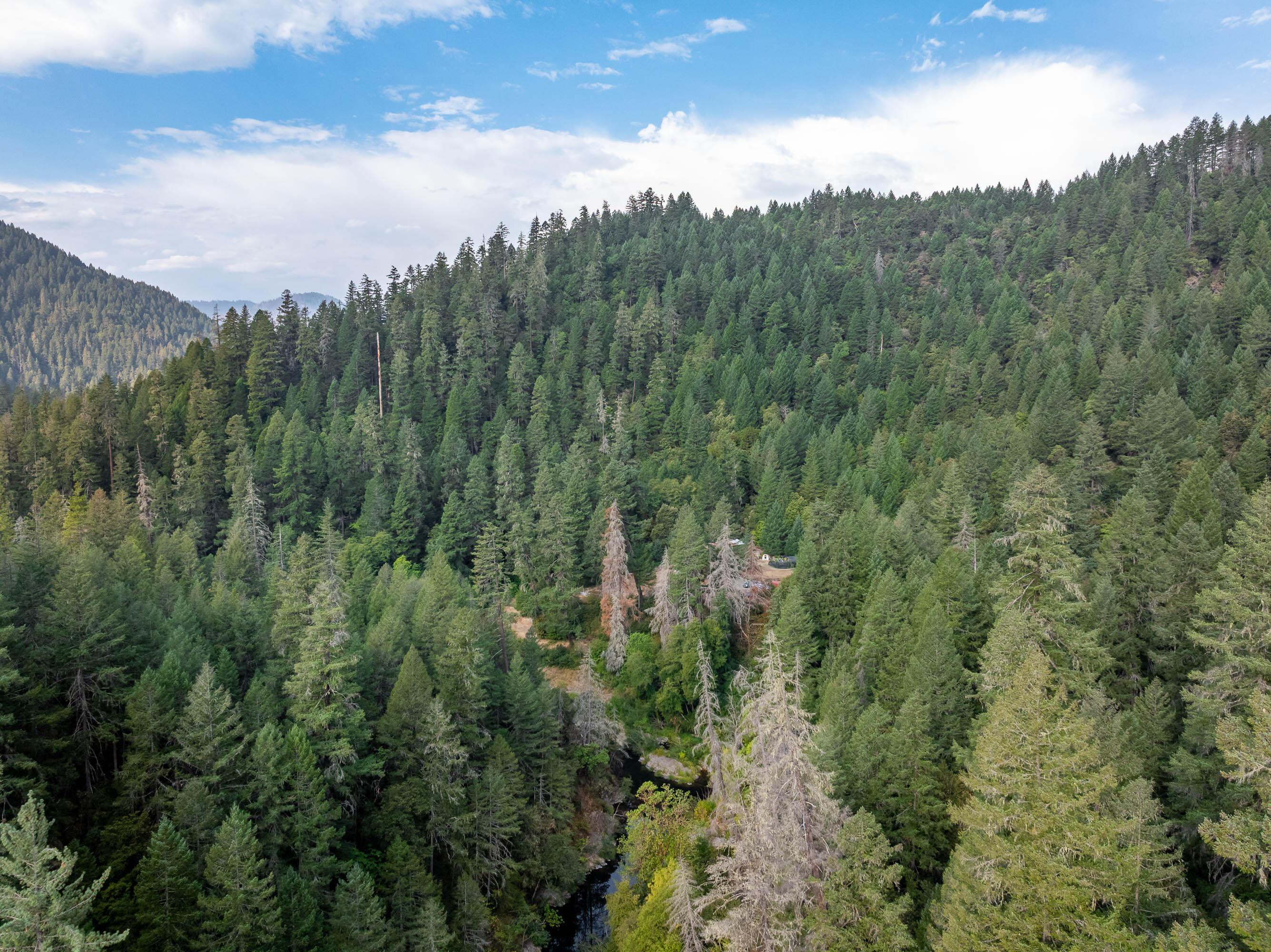 N/A - Commercial Sale