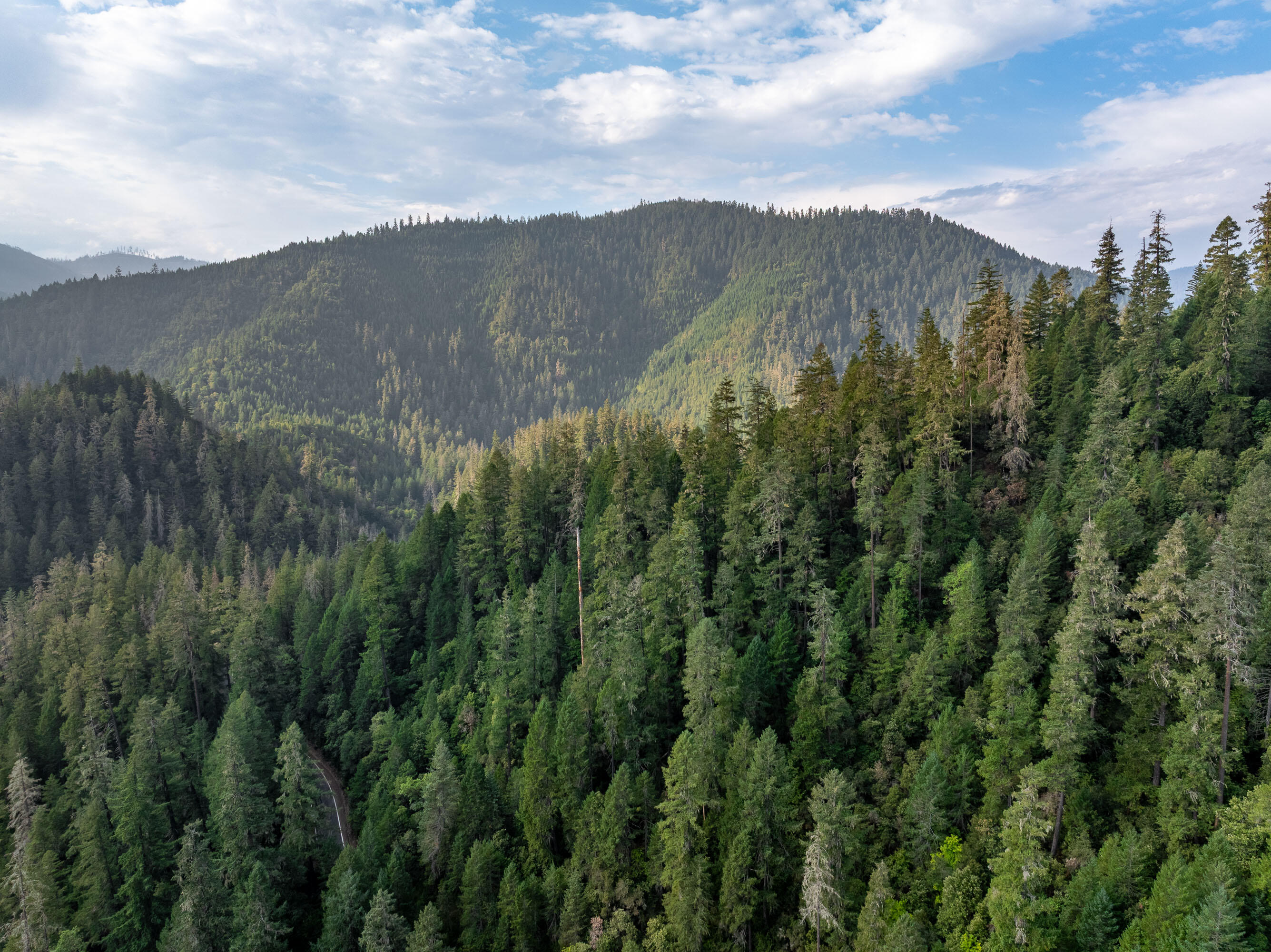 N/A - Commercial Sale