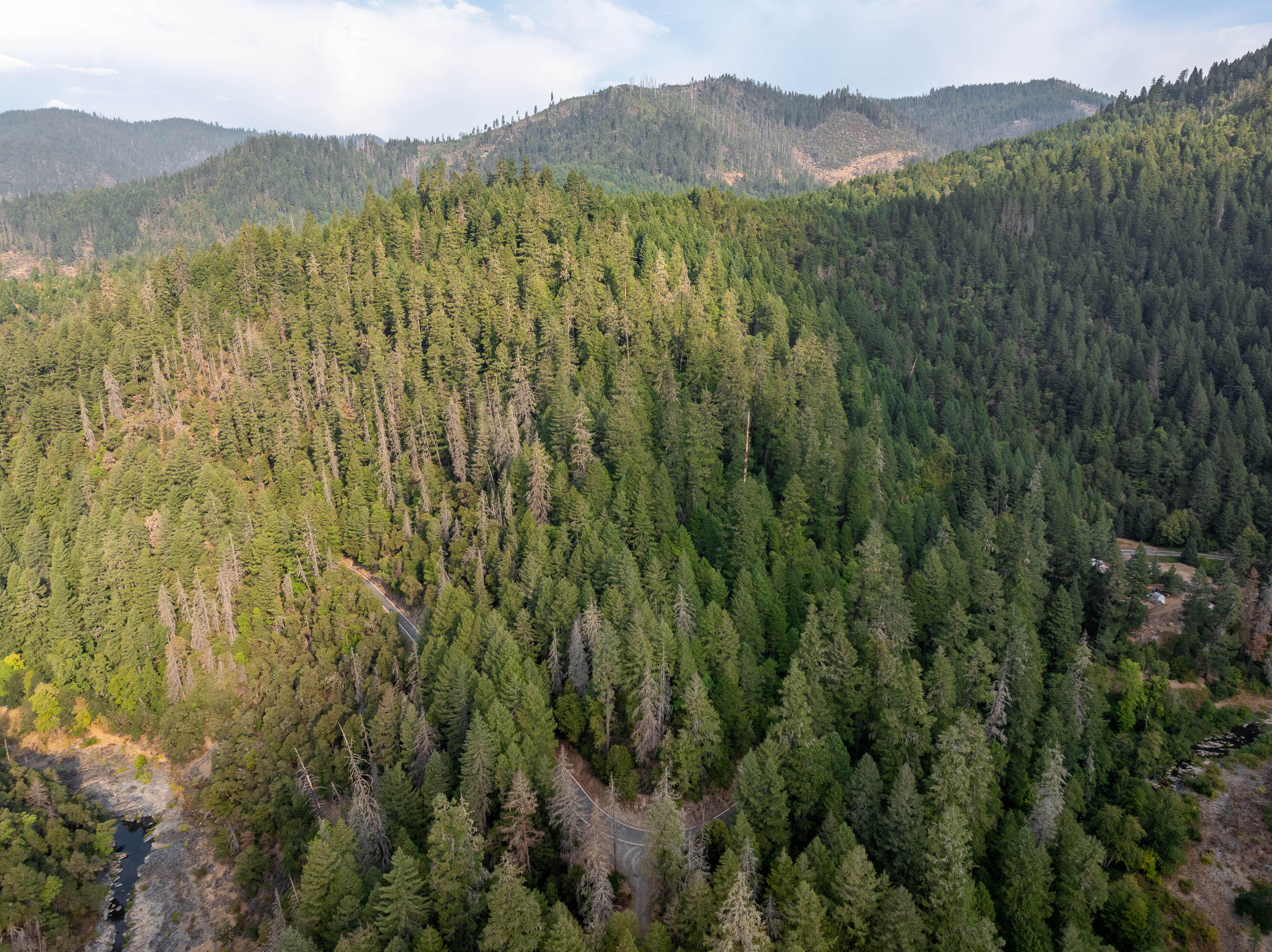 N/A - Commercial Sale