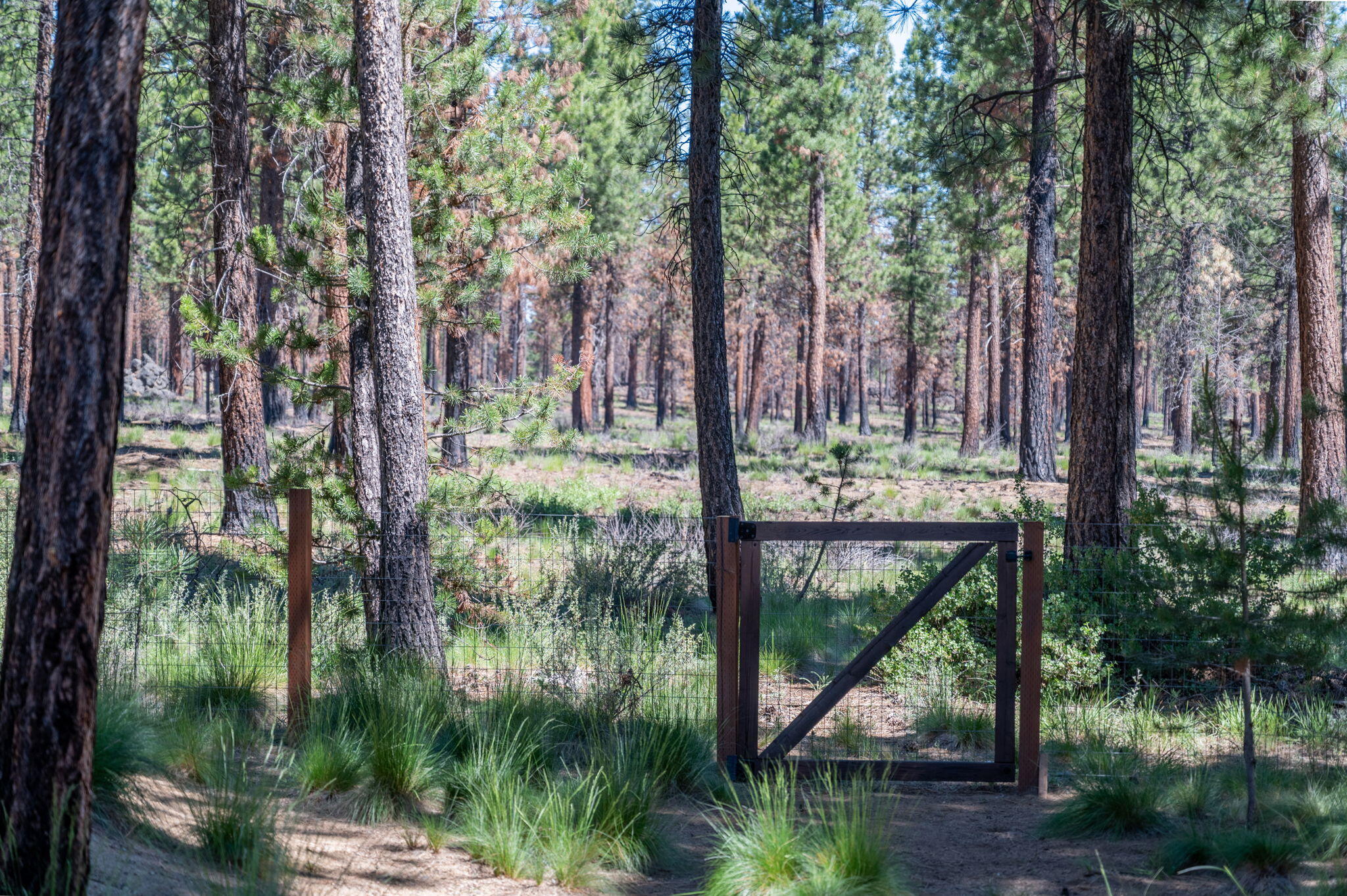 Deschutes River Recreation Homesites - Residential