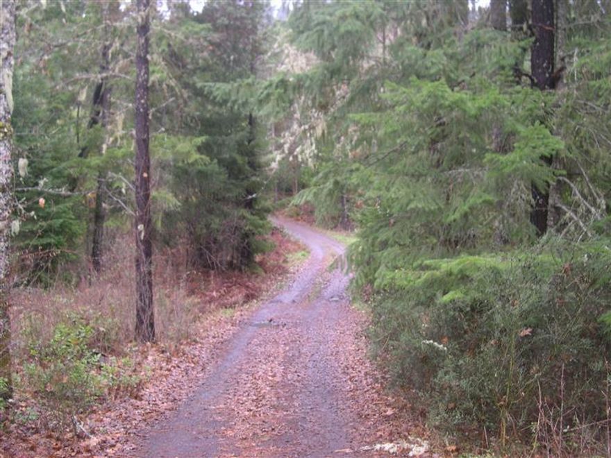 Very private home setting. Fleetwood 4 bedroom, 2 bath. Large parcel is adjacent to this parcel. Large deck off master suite. Master suite includes an area to do computer work, hobbies, etc. Island in kitchen has electrical plug in. Fireplace in living room has a fan. Separate family room. Double paned windows are tinted with UV filter. Heat pump was put in June of 2013. Energy Star Home. Super Good Sense Home.