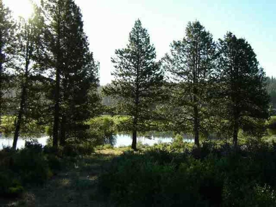 Hard To Find Williamson River Frontage.