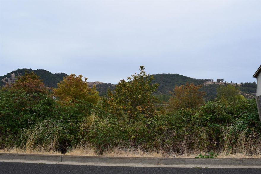 Sloped lot with a view. Utilities available. Quiet, newer neighborhood waiting for its newest addition!