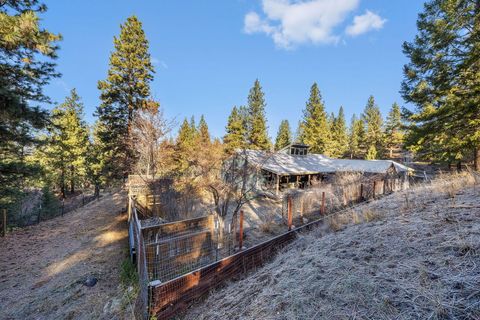 Tiny photo for 26508 Rainbow Road, Canyon City, OR 97820 (MLS # 220213248)