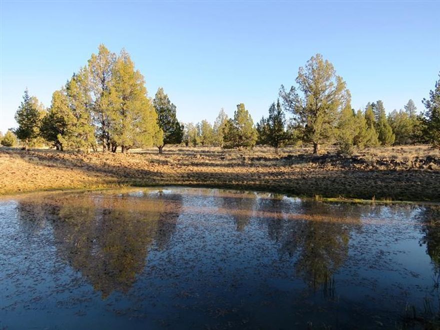 160 acres hunting property in prime Antelope Habitat close to Bly, Oregon. The property has a year round pond that supports Antelope and Mule Deer. The property qualifies the land owner for 2 LOP Antelope tags and 2 Mule Deer tags as well a 2 Elk tags. There is one major draw that has mostly Juniper and Pine trees. If you have dreamed of a good Antelope property this may be it.
