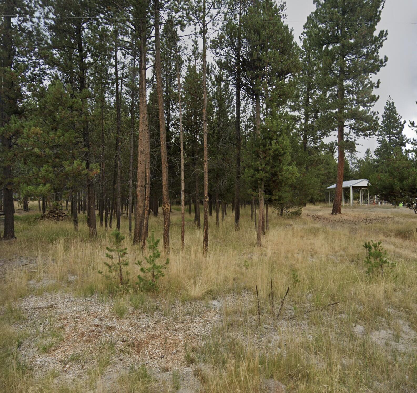 55548 Gross Drive