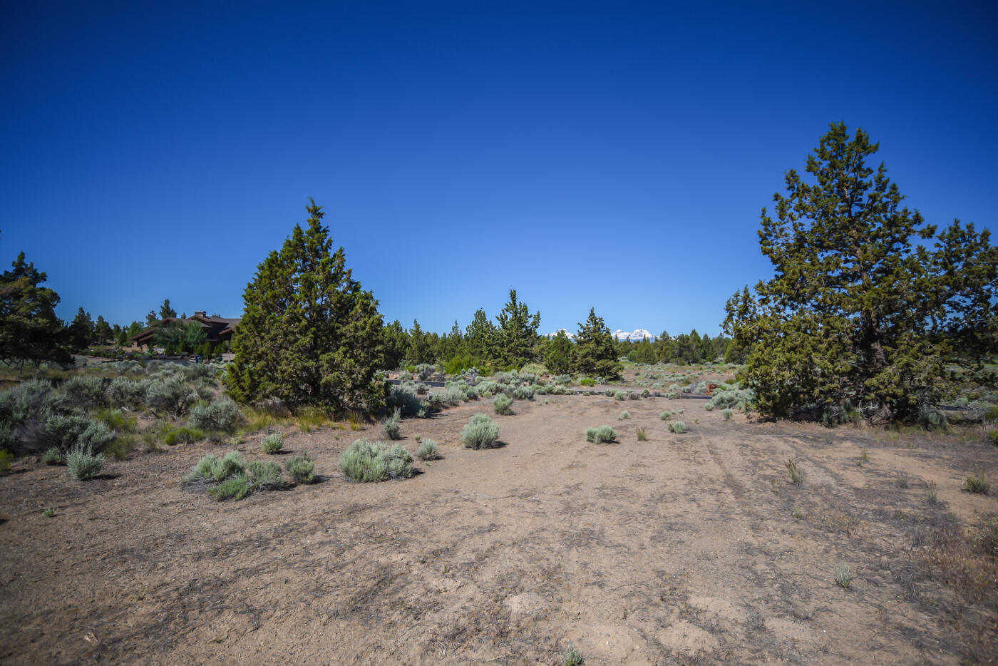 Pronghorn Estates Drive Lot  272