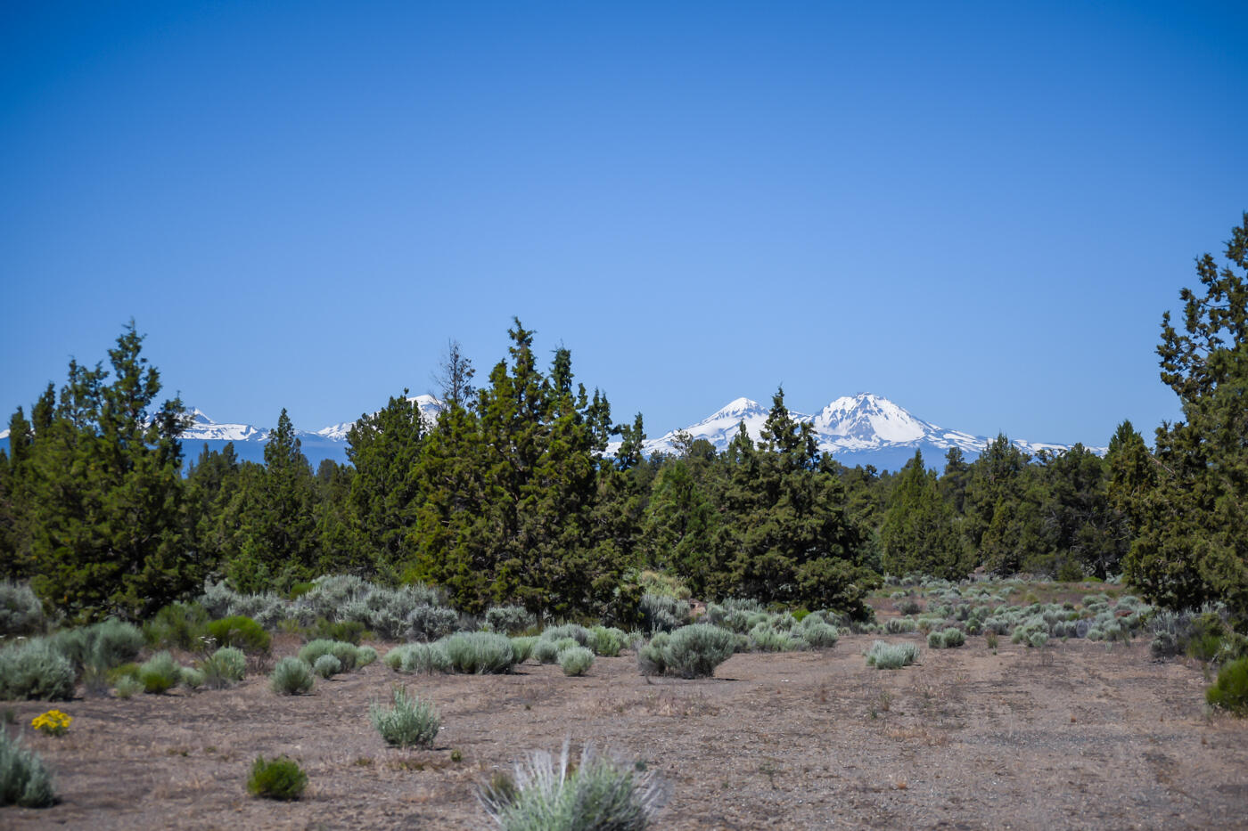 Pronghorn Estates Drive Lot  272