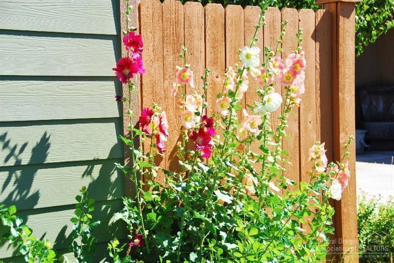 Village@Cold Springs - Residential