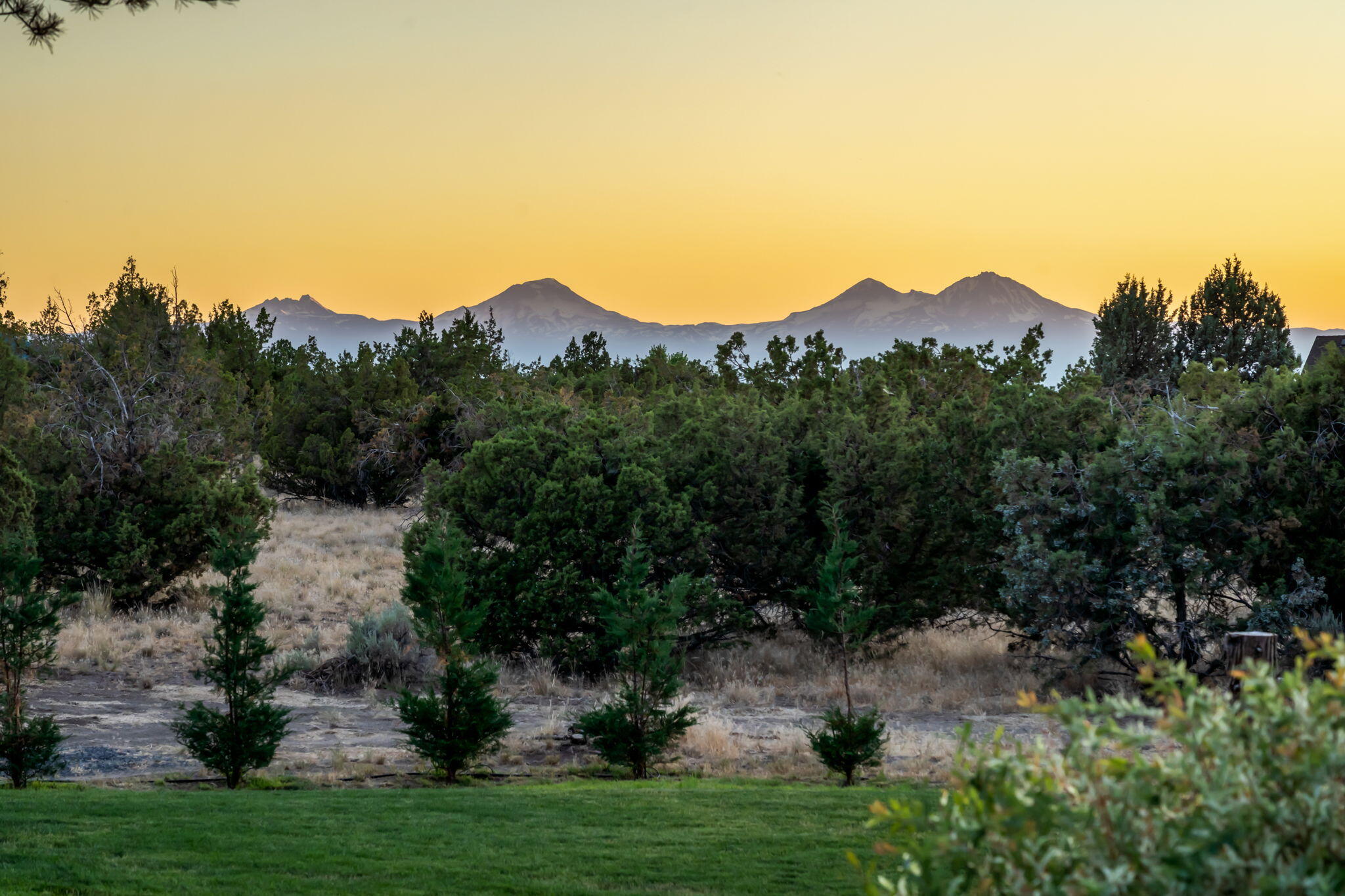 Mtn View Estate - Residential