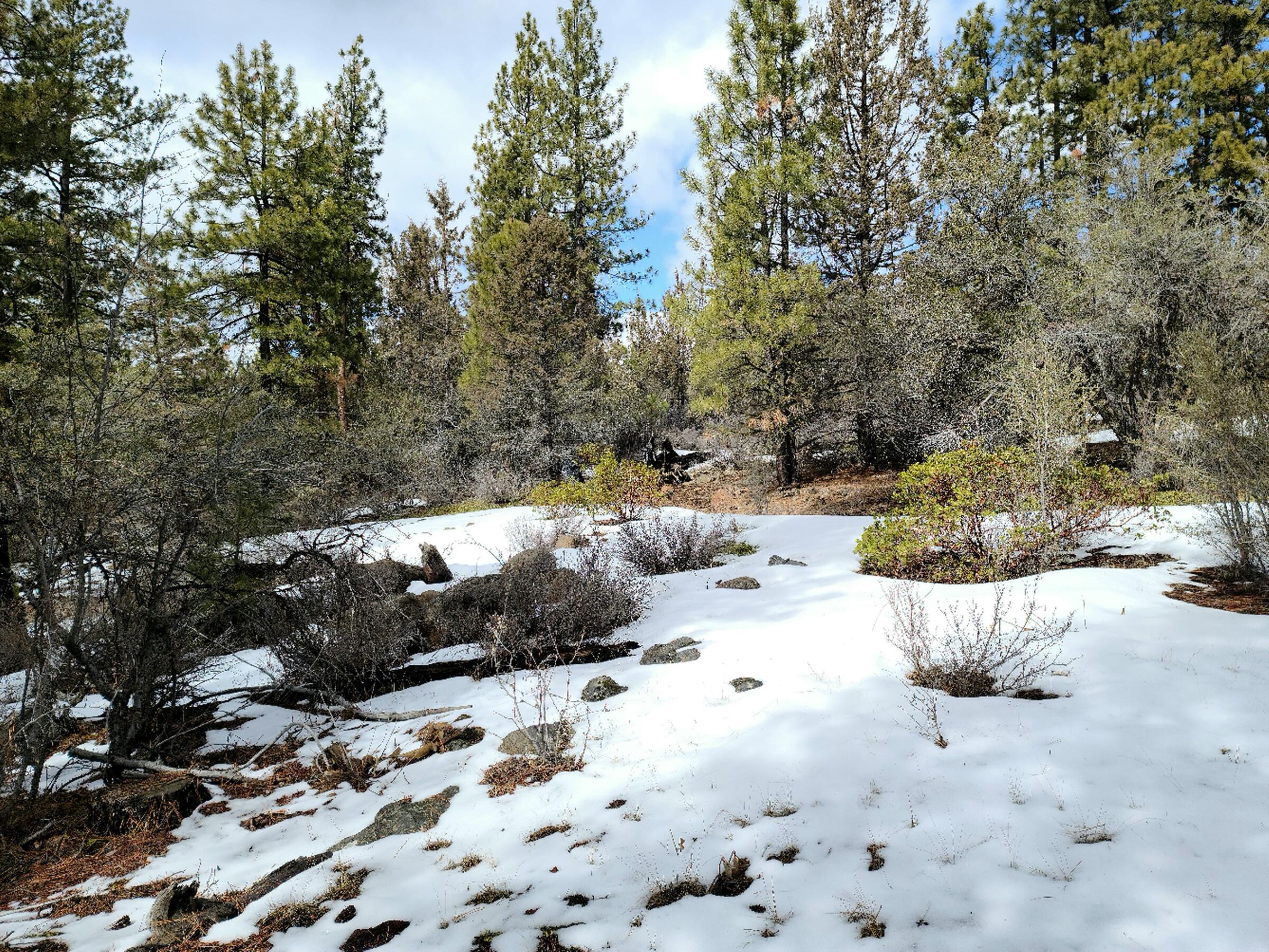 Klamath Forest Estates - Land