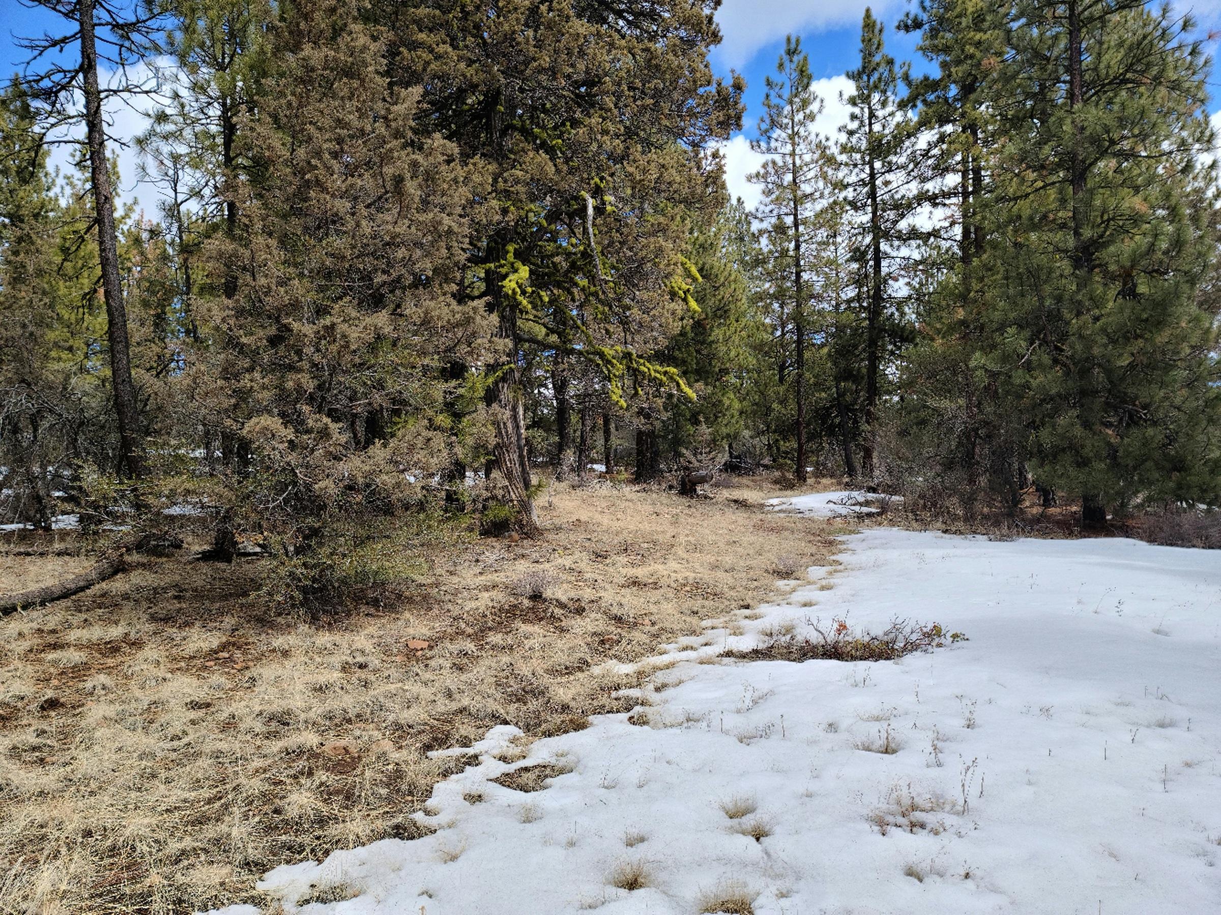 Klamath Forest Estates - Land