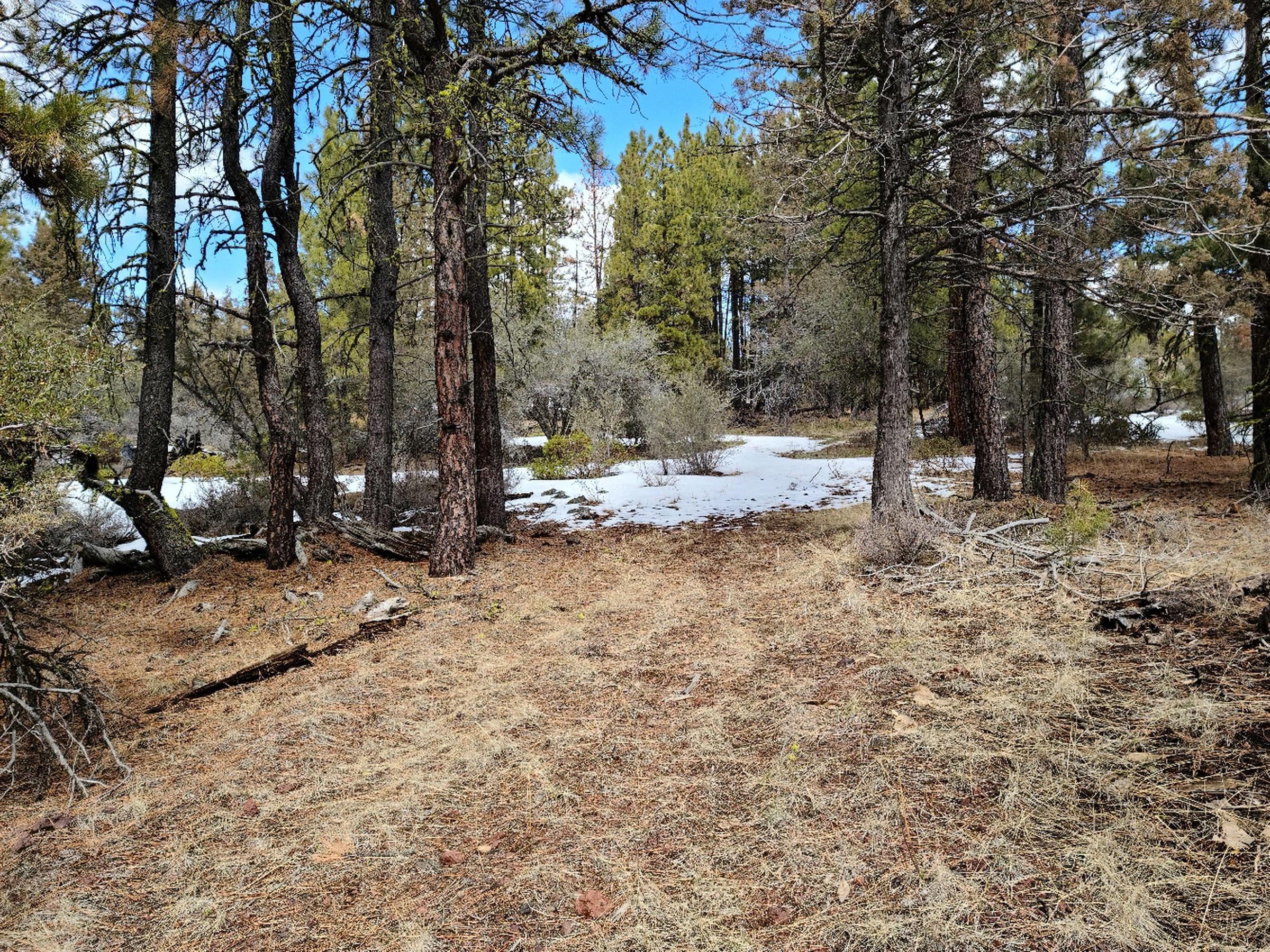 Klamath Forest Estates - Land