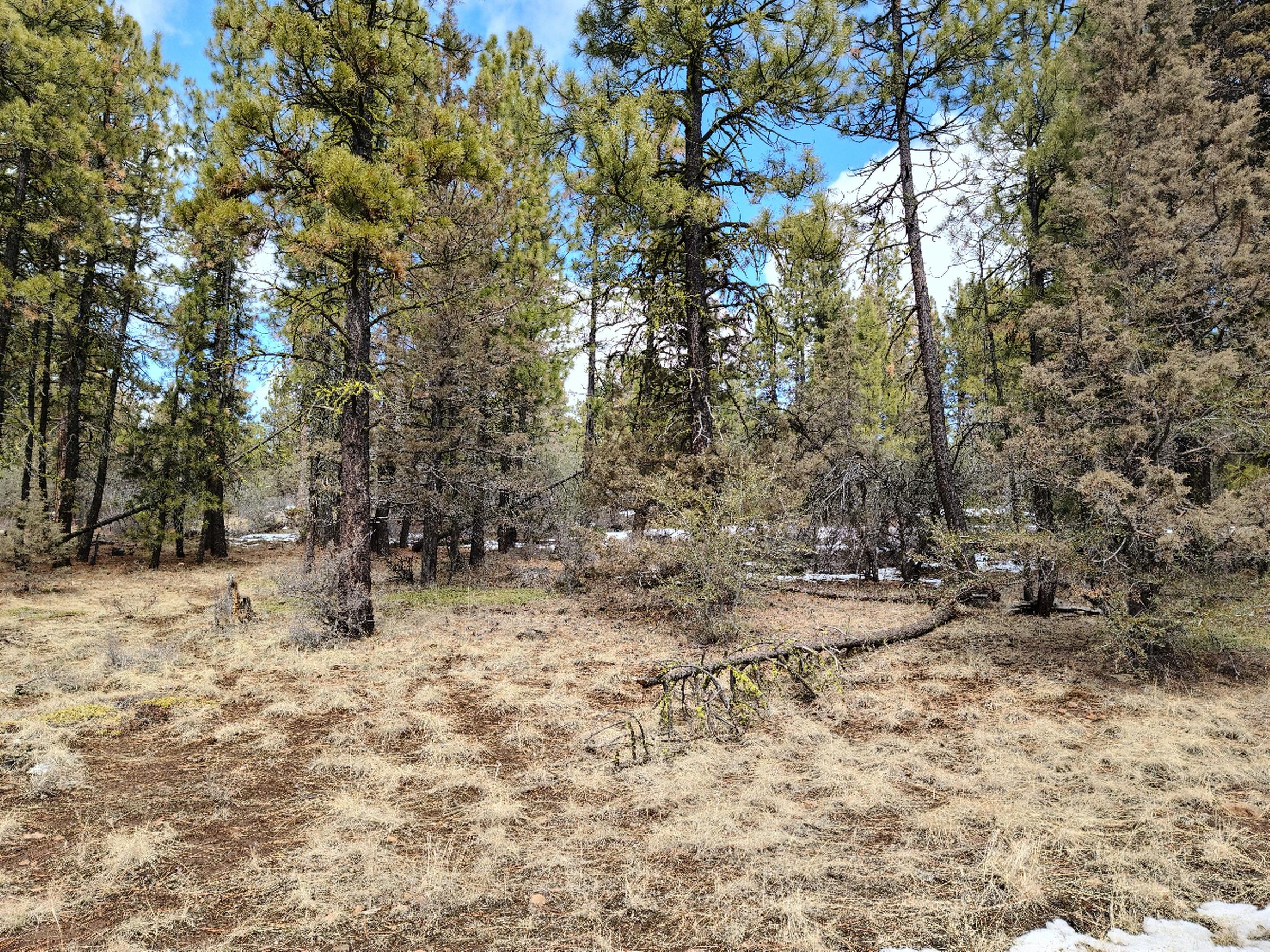 Klamath Forest Estates - Land