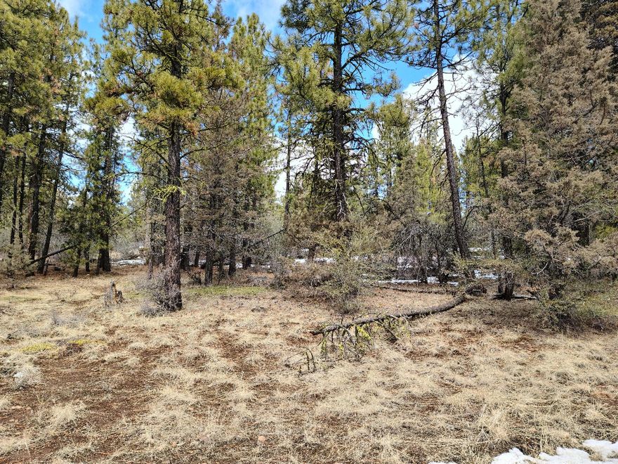 Nice buildable lot.  Moderately treed with pines and junipers.  Has a nice open area for a possible homesite.  Nearest power is on the corner of Zebu and Hummingbird.