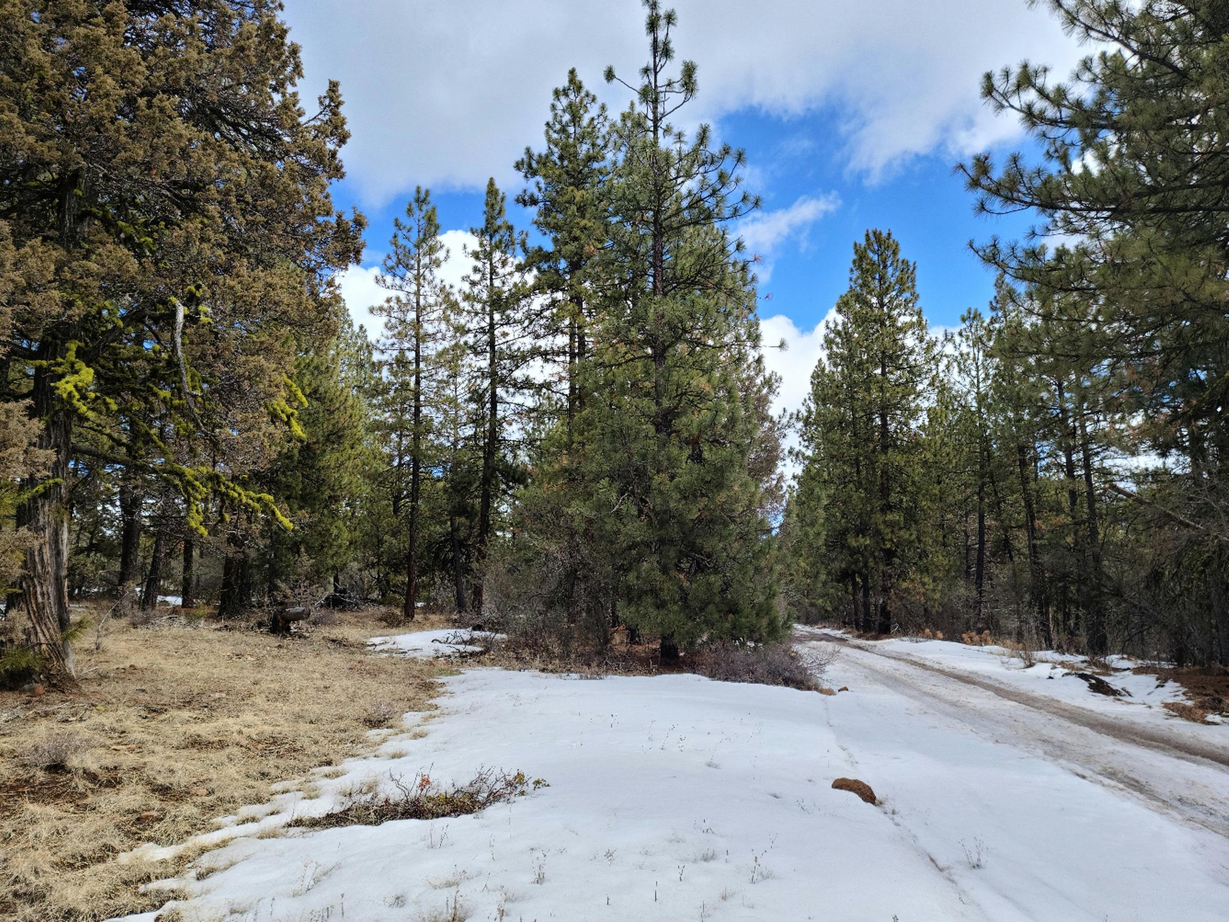Klamath Forest Estates - Land