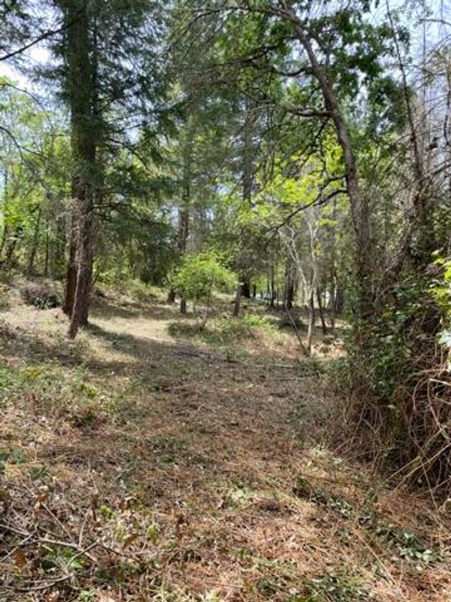 Exceptional building site close to city of Rogue River. Just over 2 acres. Offers some elbow room, old growth trees, views and much more!
