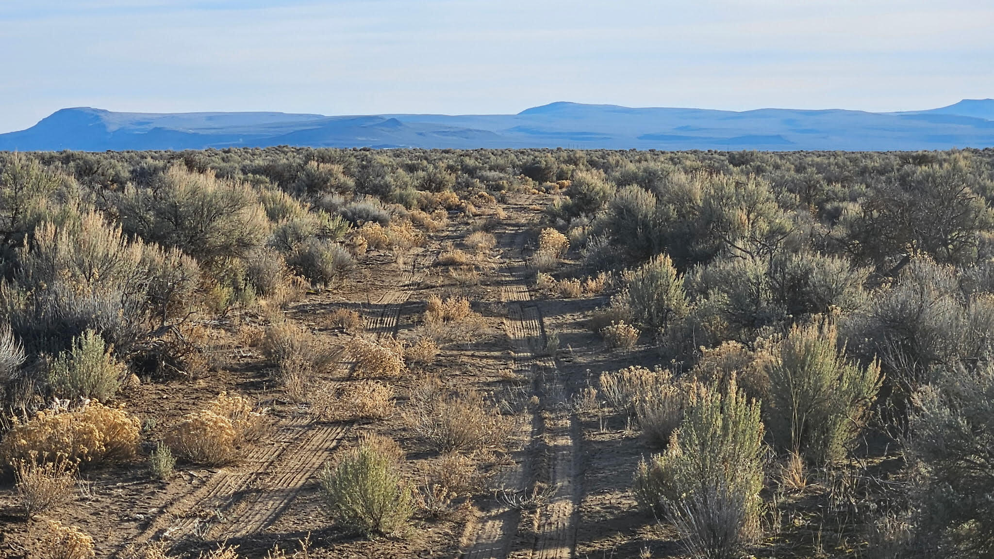 Off Fossil Lake Road TL 1200