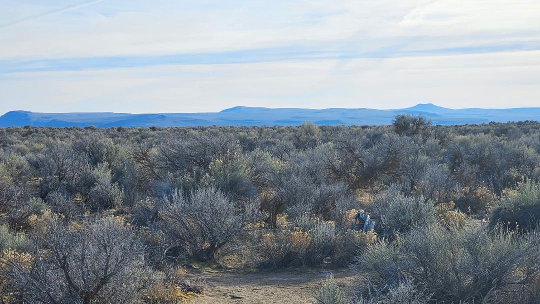 Off Fossil Lake Road TL 1200