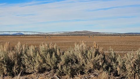 Off Fossil Lake Road TL 1200 Christmas Valley OR 97641