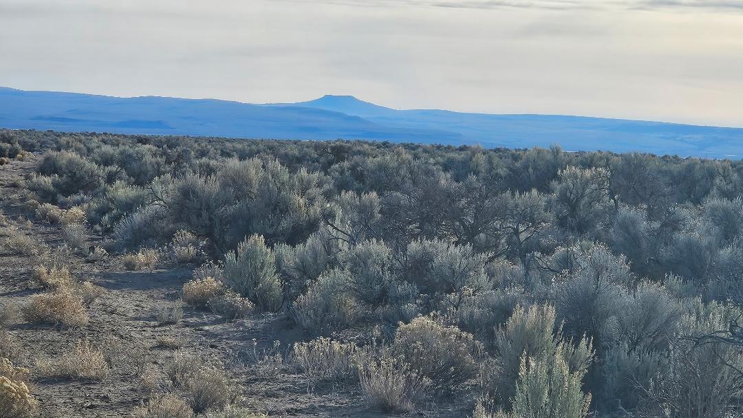 Off Fossil Lake Road TL 1200