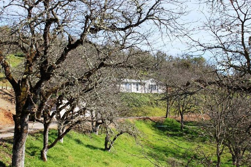 An amazing opportunity to purchase a home with land and views! This home is NOT conducive for animals as it is a hillside property. This beautiful 3 bedroom, 2 bath, 1560 sq ft manufactured home has many updates and sits on over 5 acres. Stylish interior with open floor plan, kitchen has glass top oven/range, microwave, dishwasher, eating bar, plant shelves, updated countertops, light fixtures, appliances, sinks, toilets, carpet, and tile flooring in the kitchen, laundry and bathrooms. Spacious master with large bathroom and walk in closet. This property has a 1500 gallon holding tank, water softener and 3 filtration systems. This is a shared driveway. This property is at the top of the hill. RV parking with hookups, sprinkler system, and a circle drive.