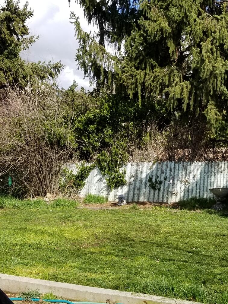 West Side Heights Subdivision - Residential