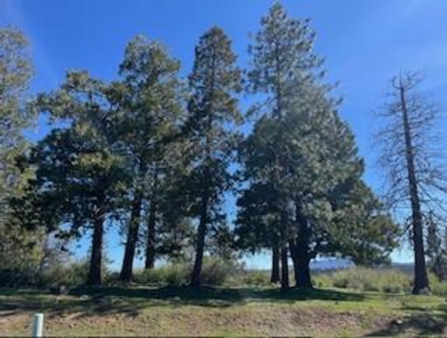 Ready to build your dream home at the Running Y Resort?  If so, you need to see this .74 acre lot with great views overlooking much of the Running Y.  The Running Y Resort is home to the only Arnold Palmer designed golf course in Oregon. The HOA amenities include access to the Sports and Fitness Center, with indoor pool, hot tub, sauna, expansive weight room, game room and group activity room.  Outdoor amenities include pickleball and tennis courts, playground for the little ones and miles of paved walking trails.