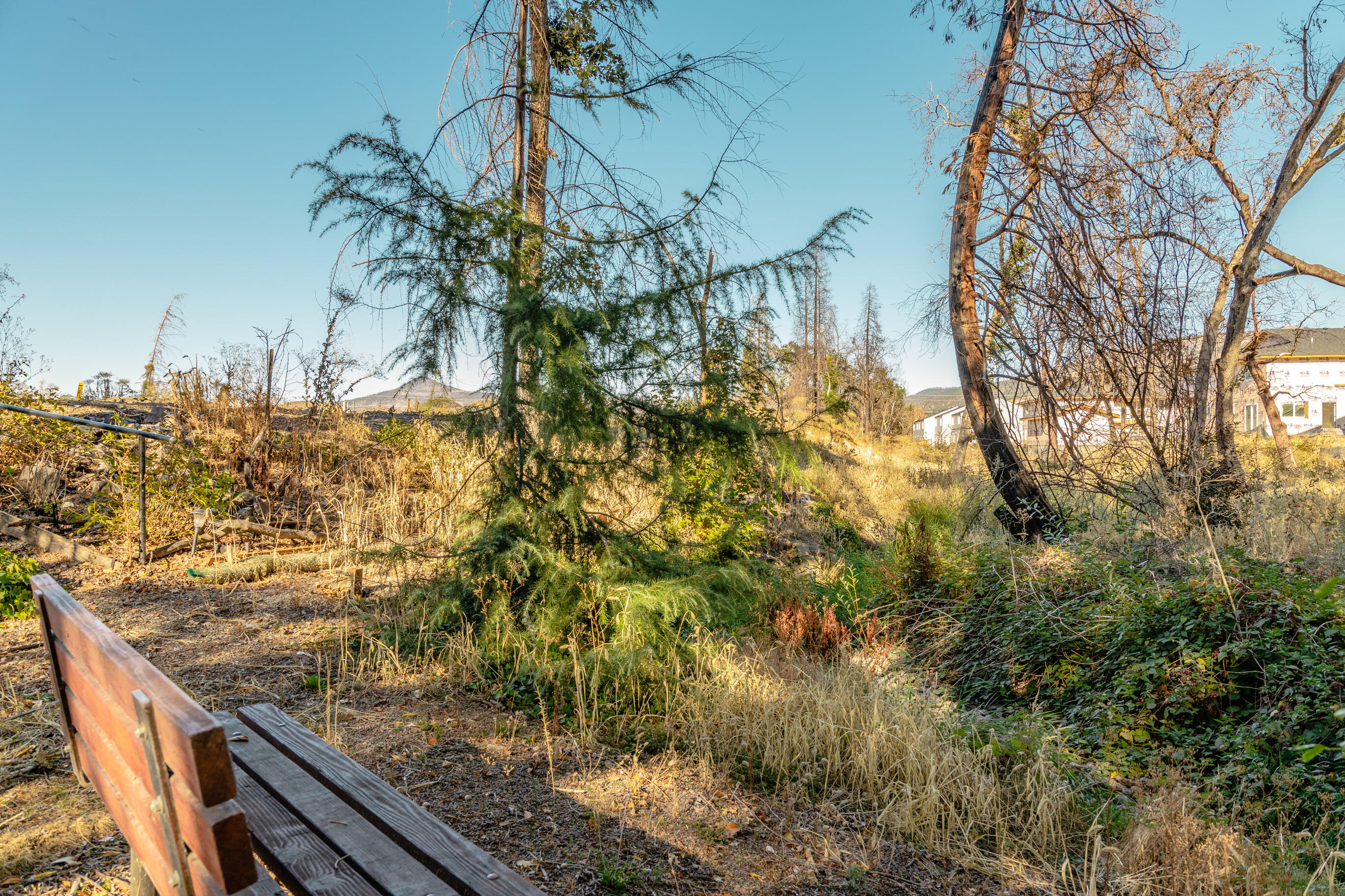 Park Rose Subdivision - Land