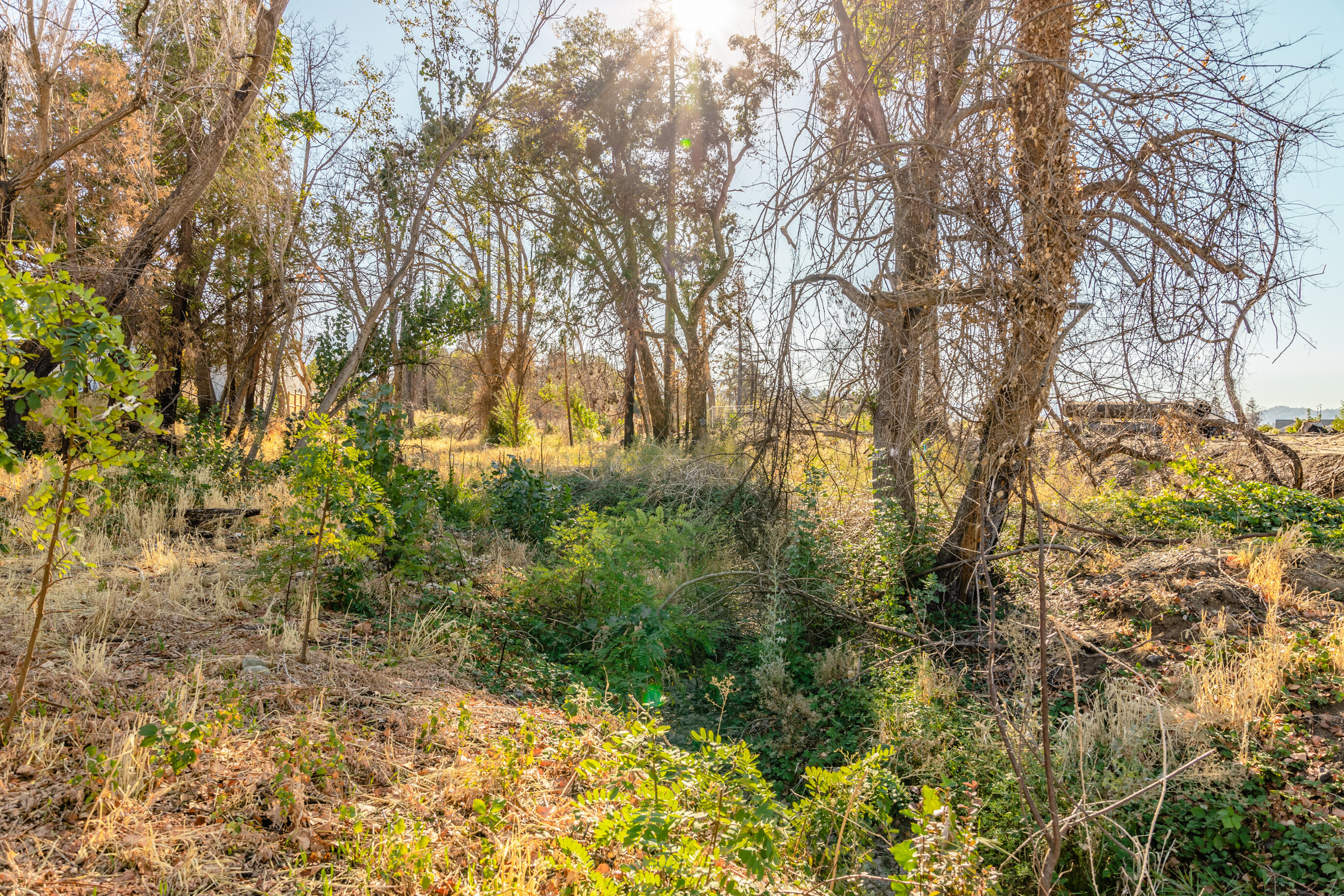 Park Rose Subdivision - Land