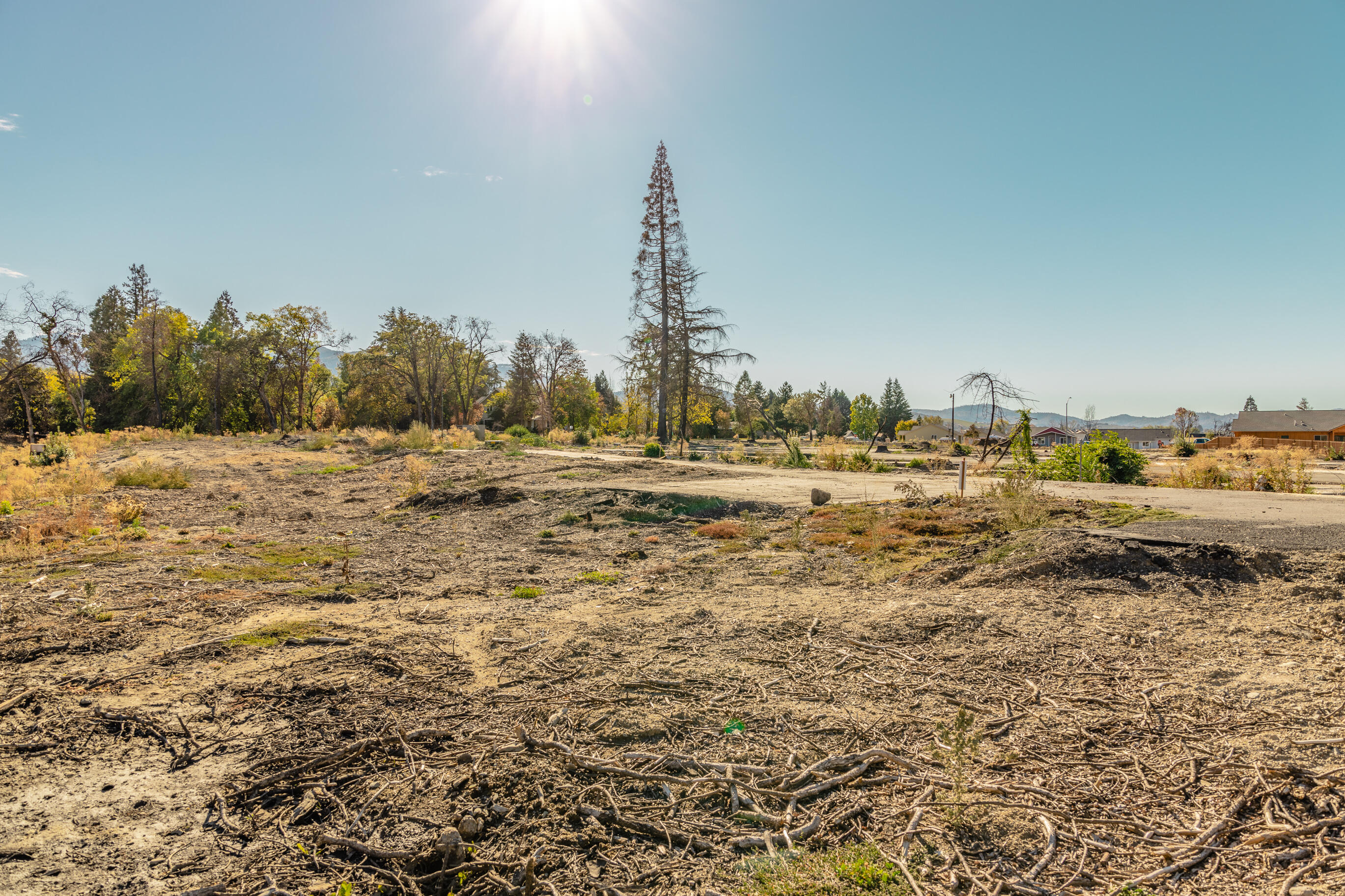 Park Rose Subdivision - Land