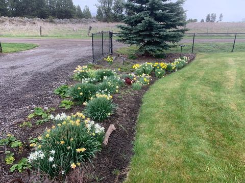 Tiny photo for 32928 Rivers Drive, Chiloquin, OR 97624 (MLS # 220215177)