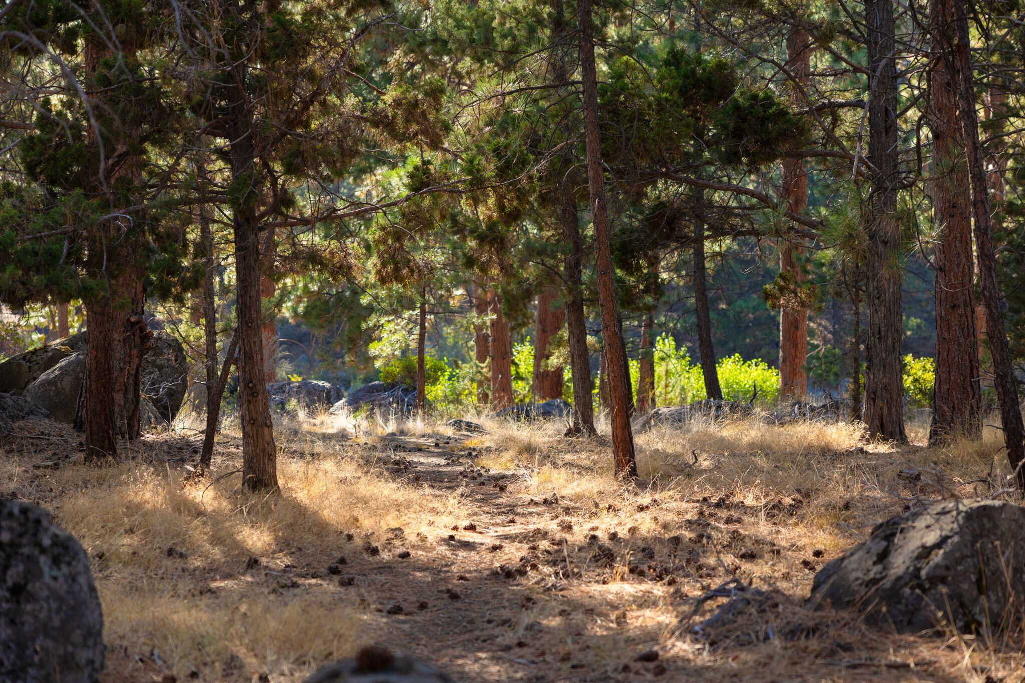 Woodriver Village - Residential