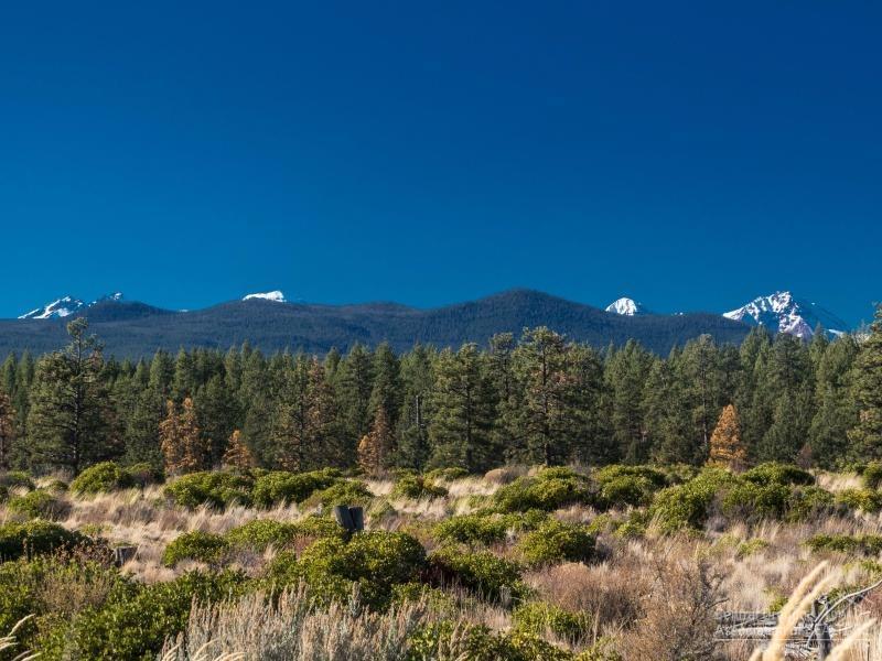 Shevlin Commons - Residential