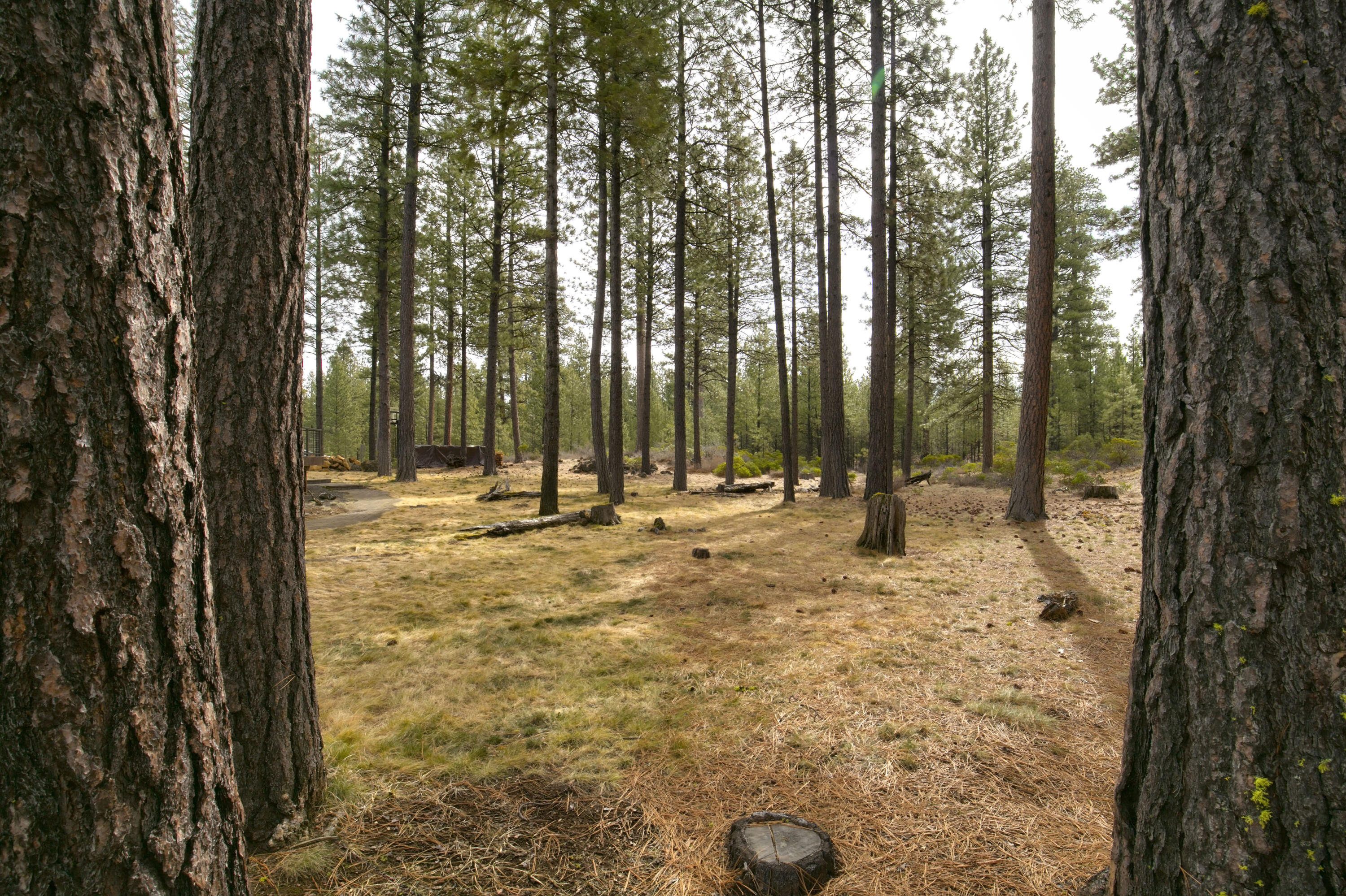 South Meadow - Residential