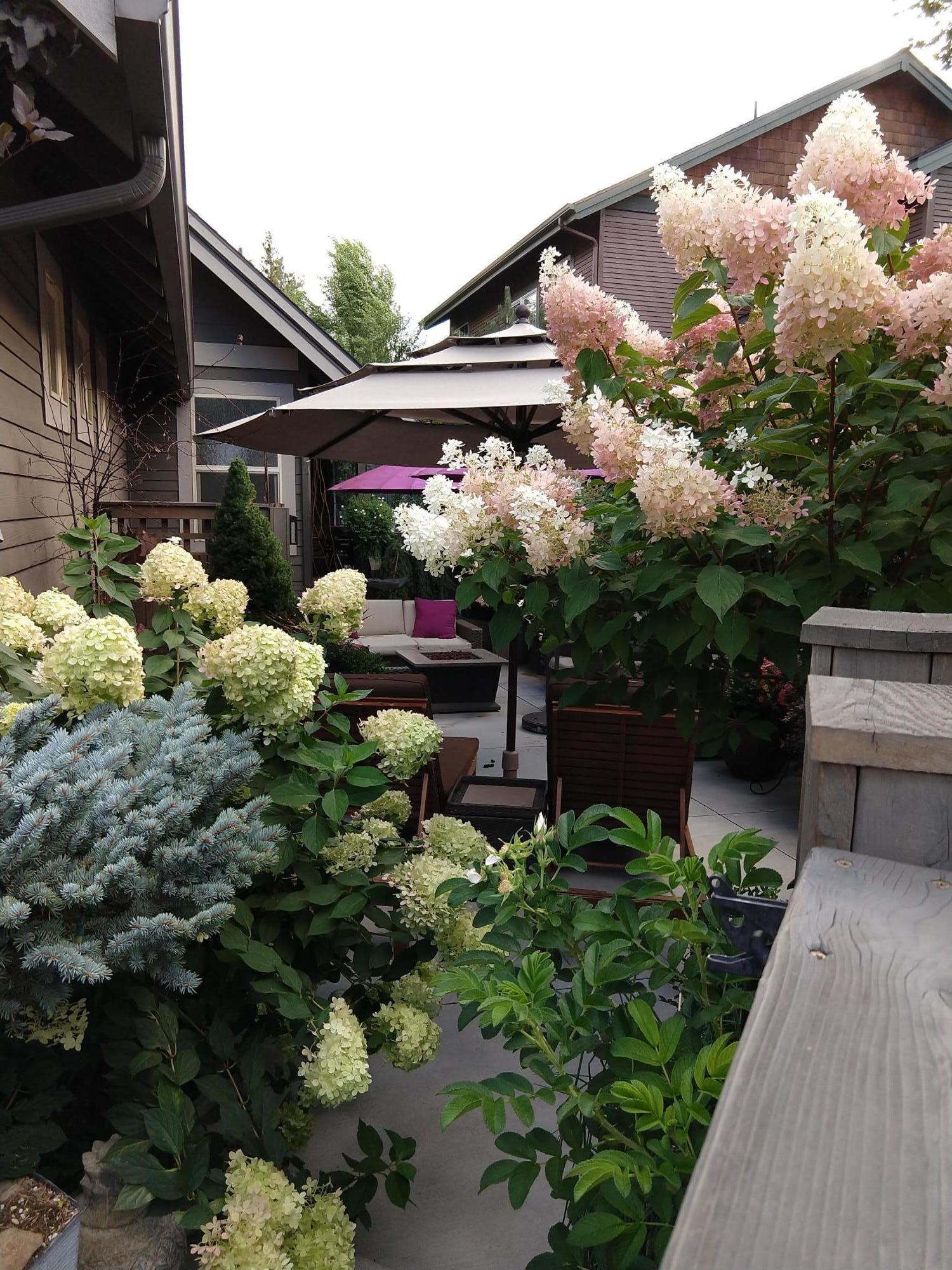 Newport Gardens - Residential