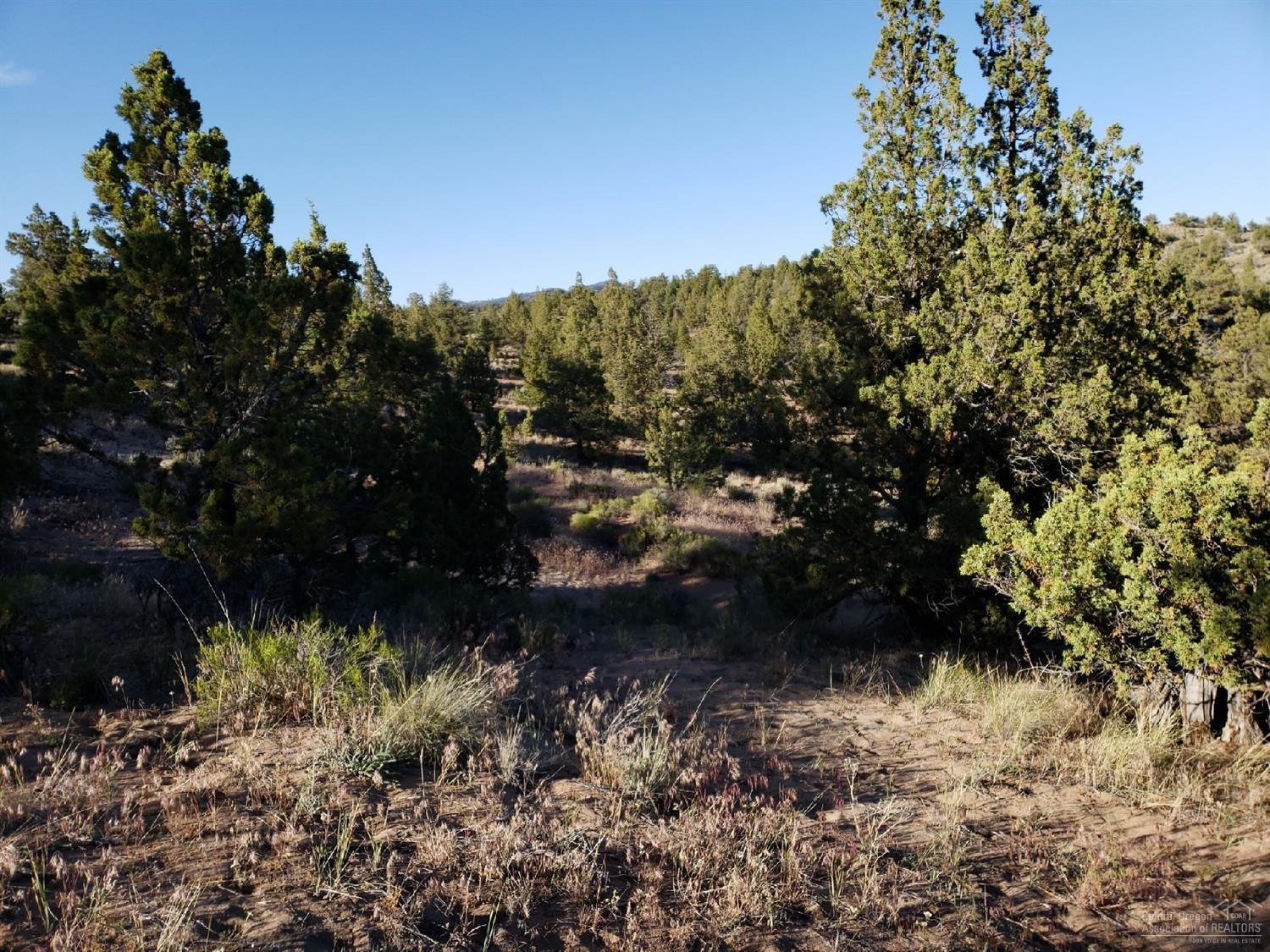 Indian Rock Estates - Land