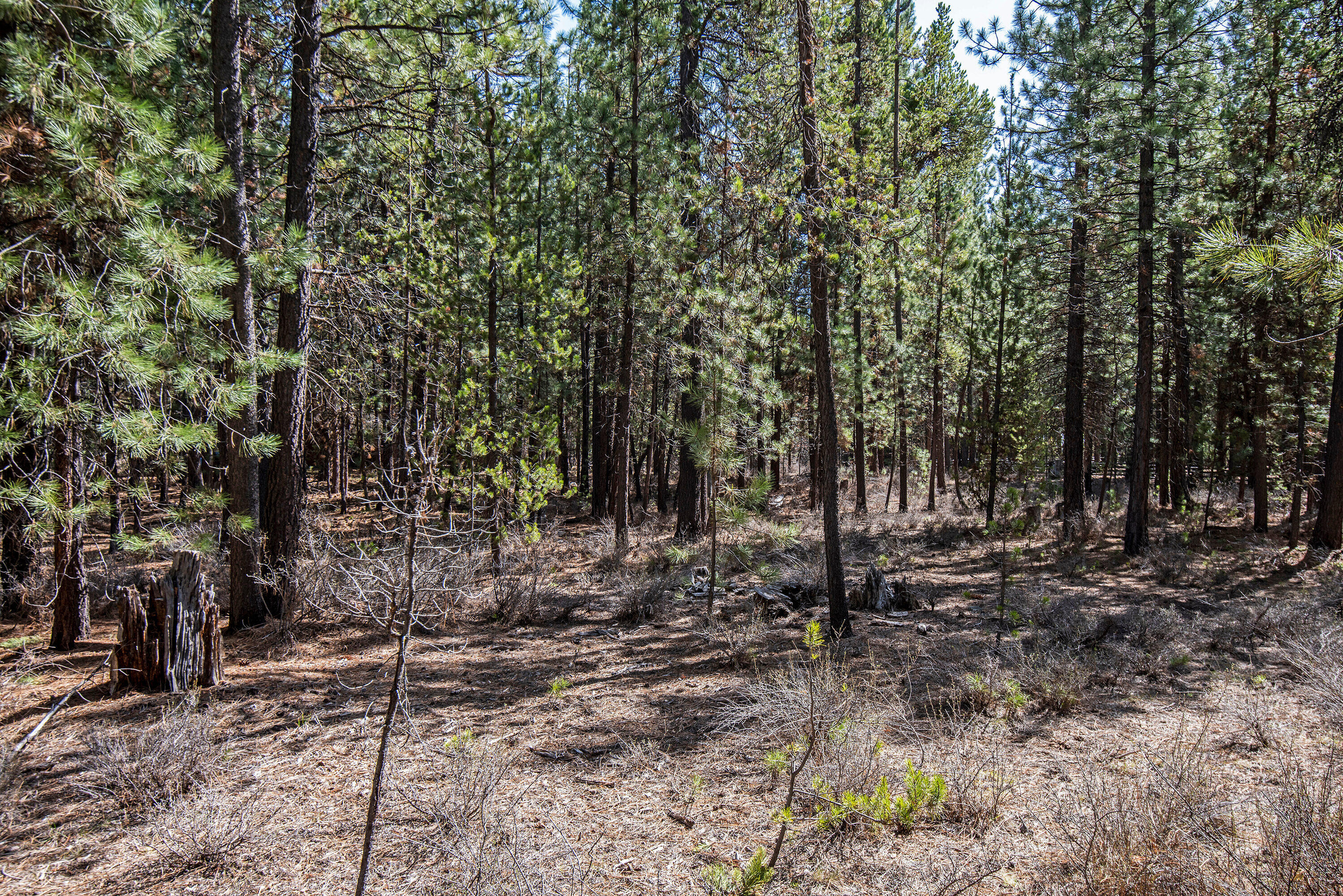 Spring River Acres - Land