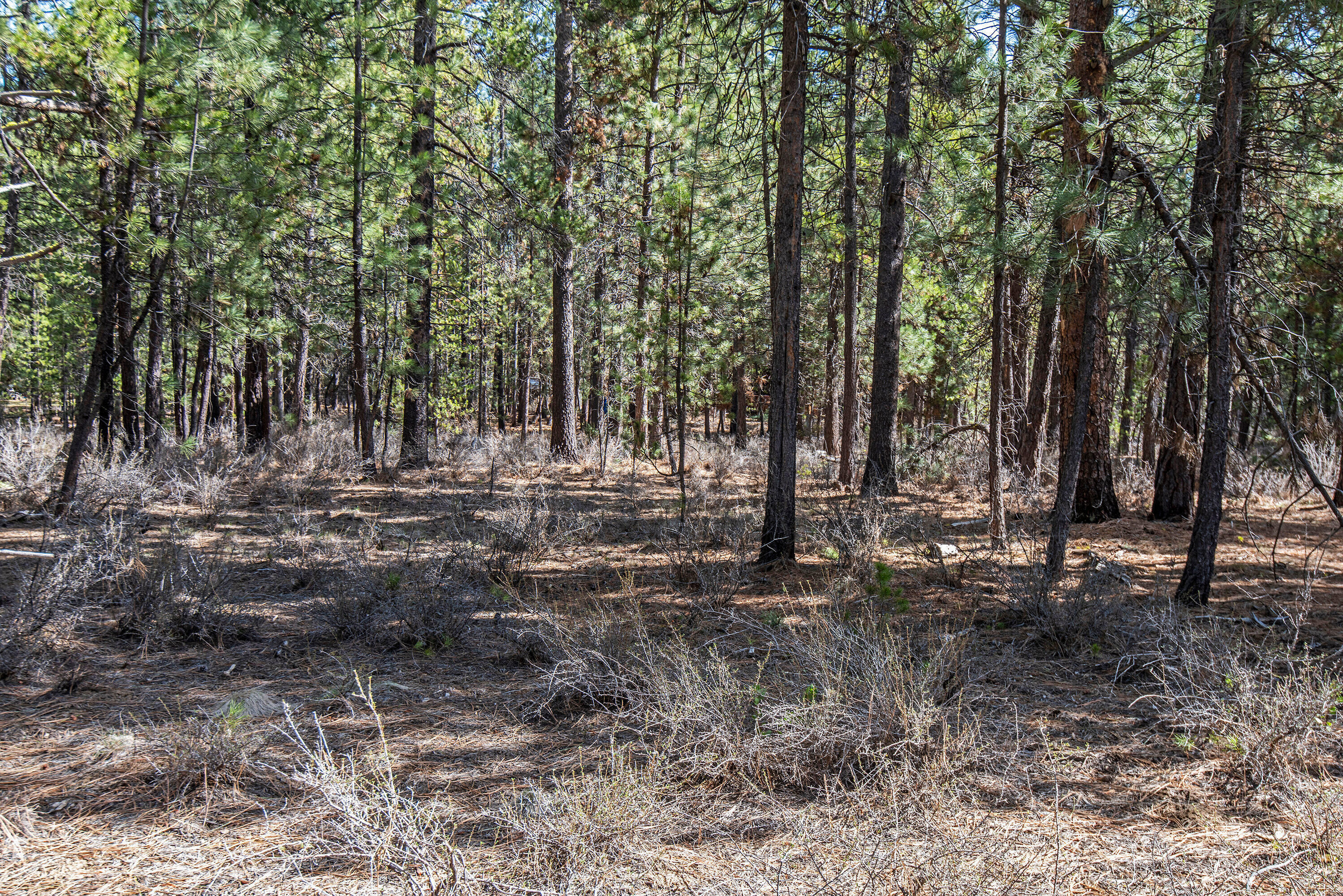 Spring River Acres - Land