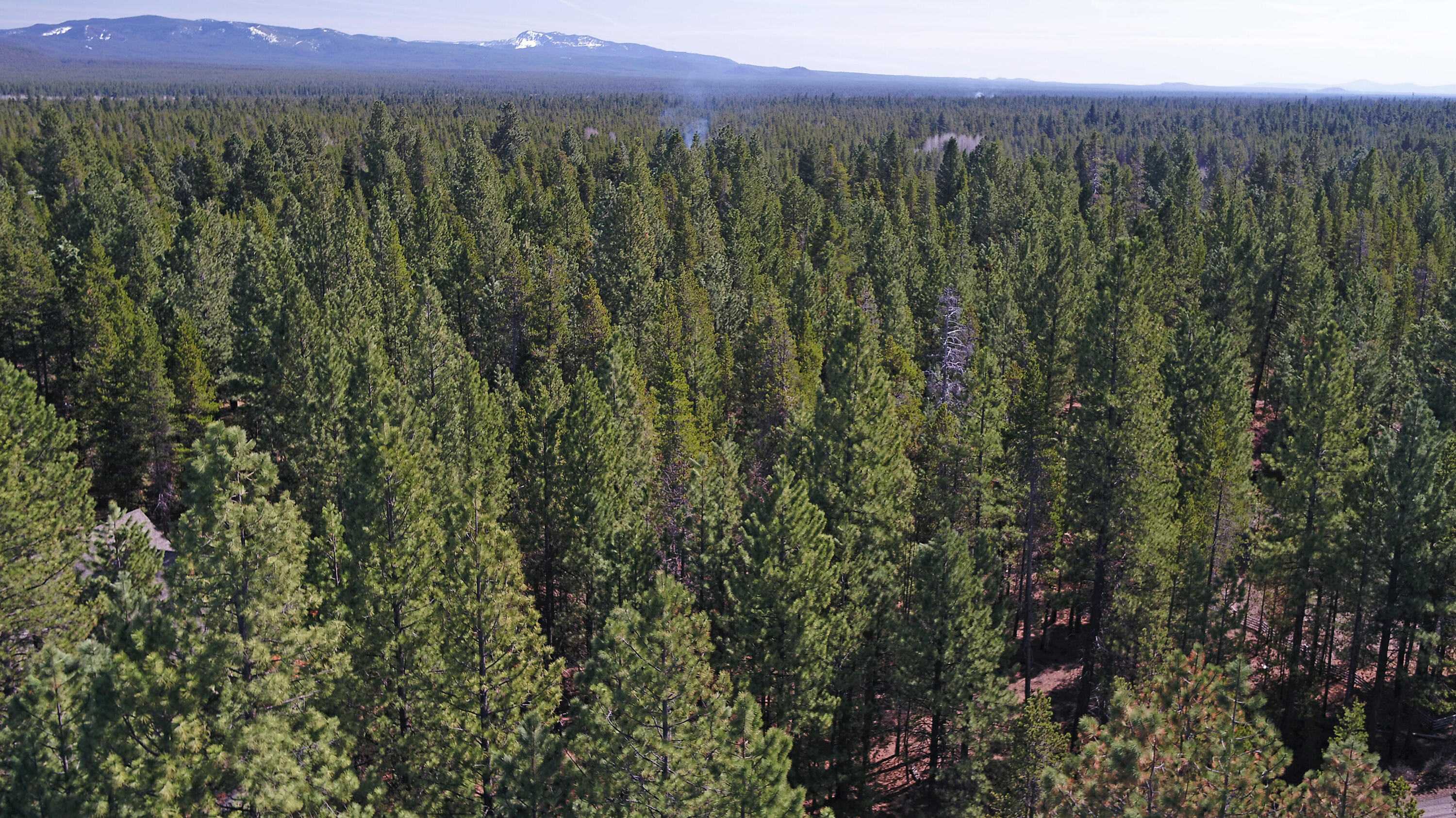 Spring River Acres - Land