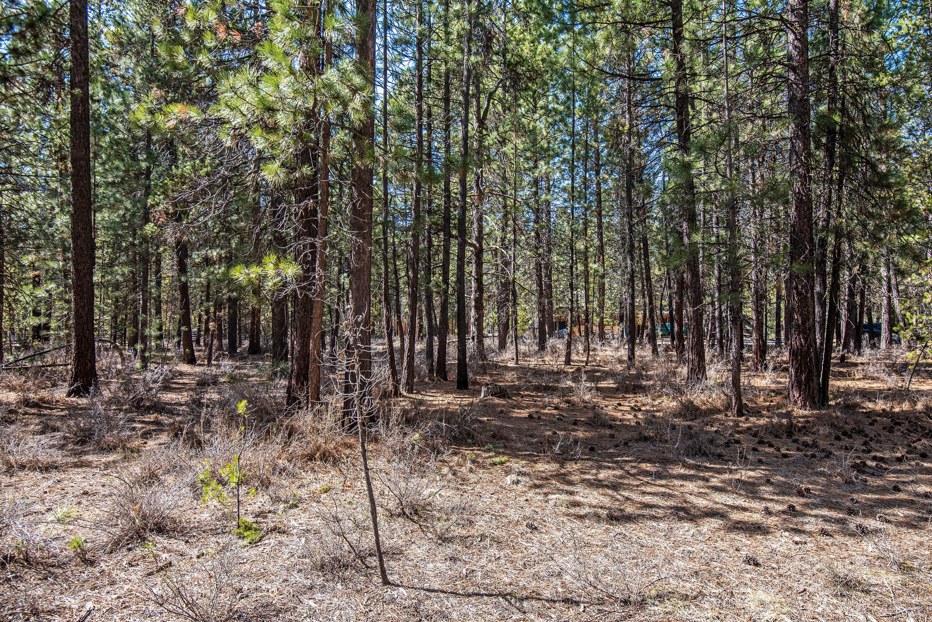 Spring River Acres - Land