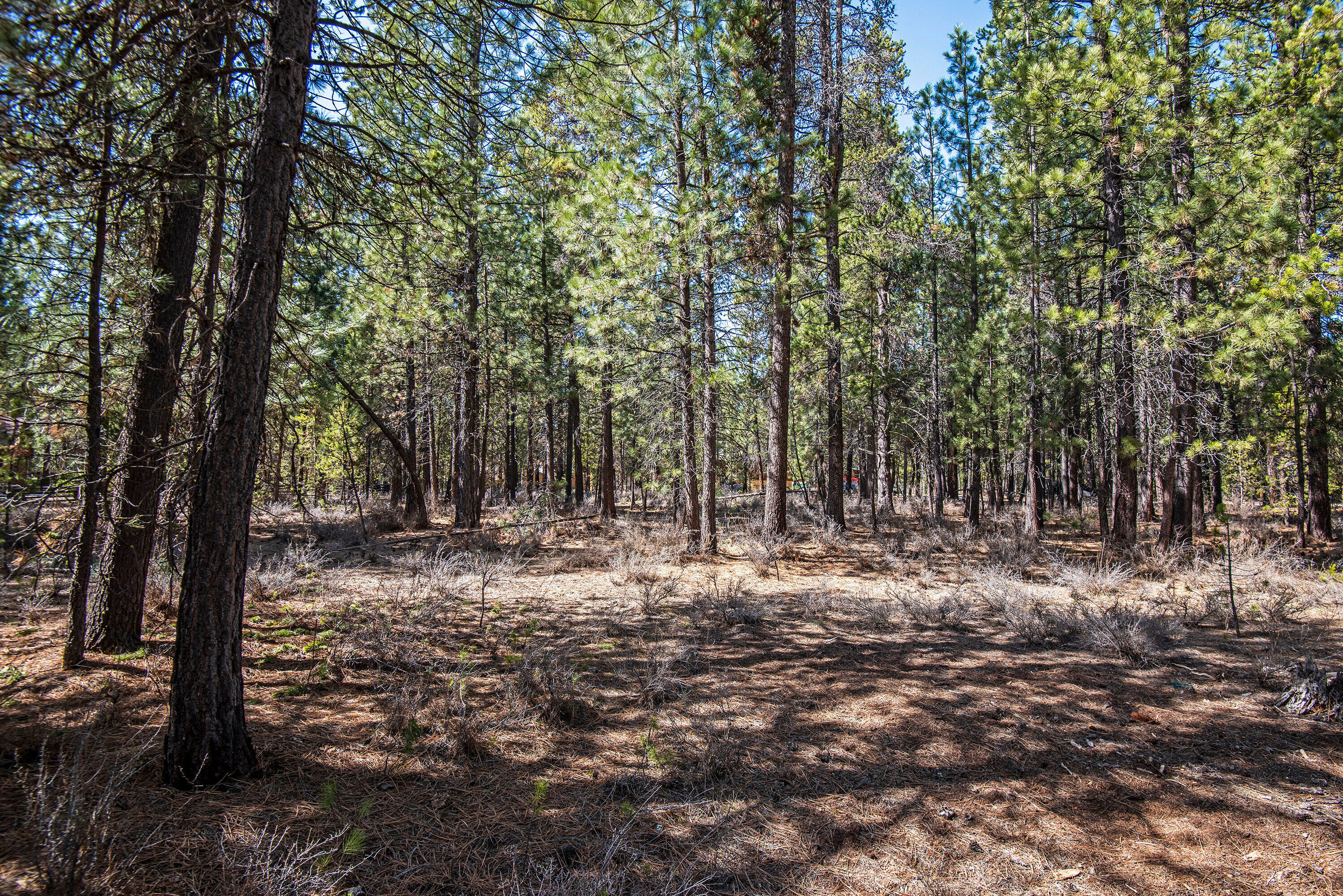 Spring River Acres - Land